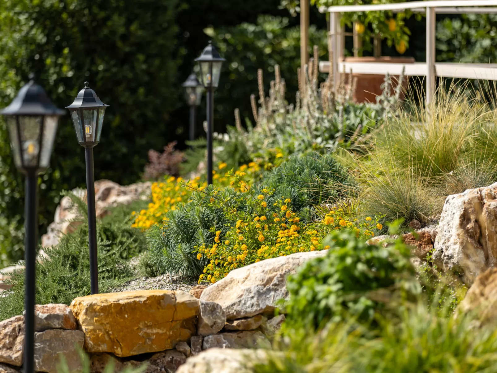 Poggio Piero 2-Draußen