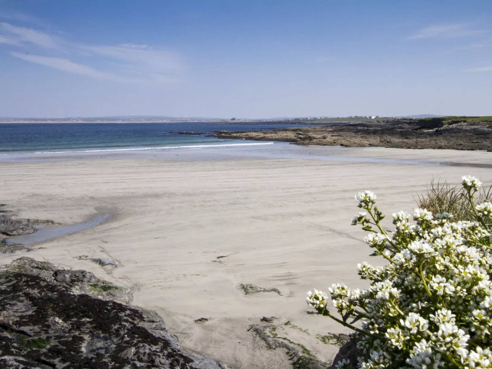 Matthews Cottage Doonbeg-Dehors