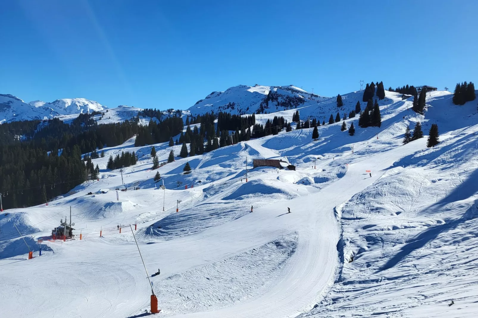 Jardins Alpins A N°20 - 2P6 - Gebiet Winter 20 km