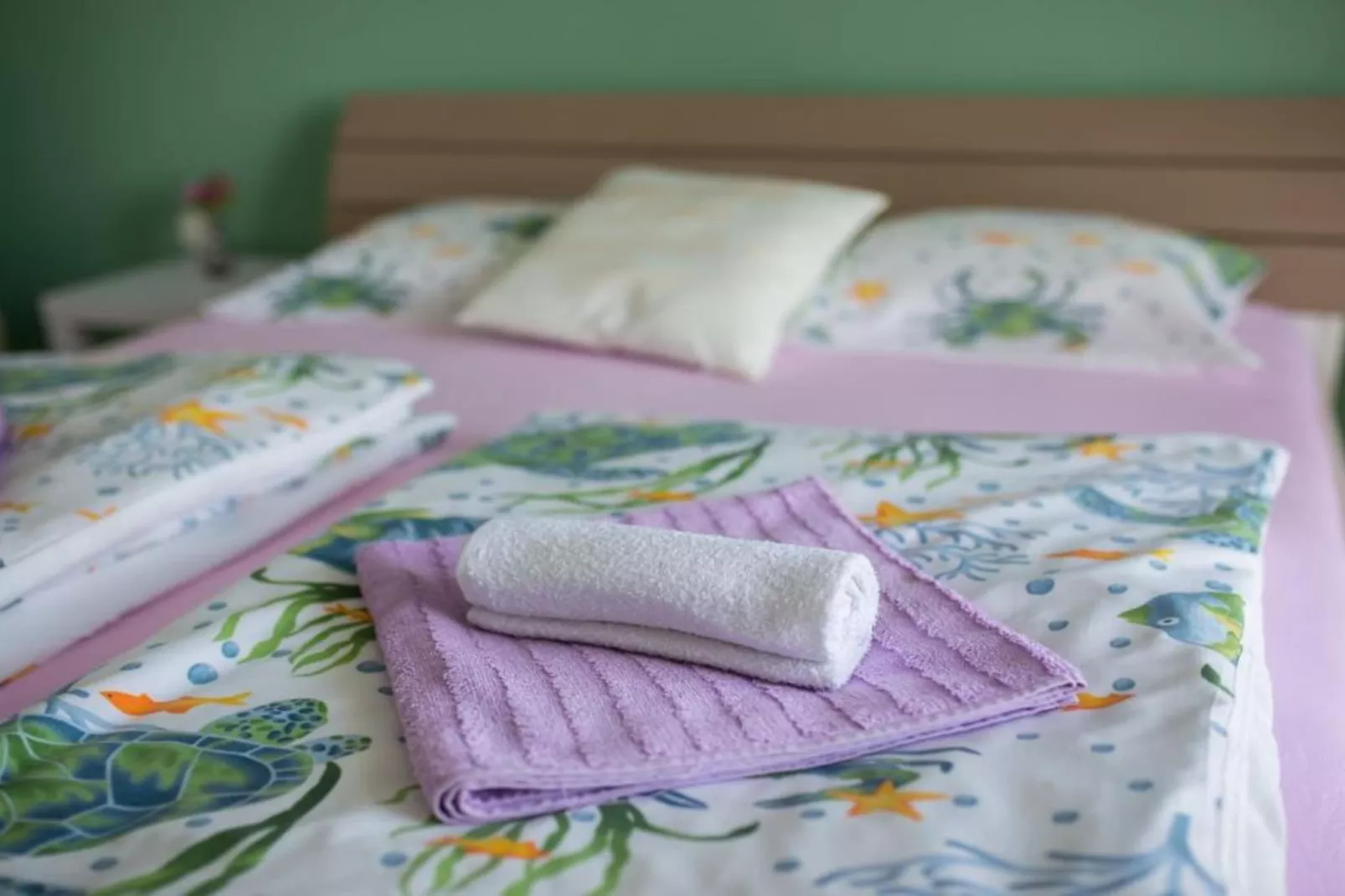 Apartments Melanie - Oprić Hills Studio apartment with balcony (C)-Chambre