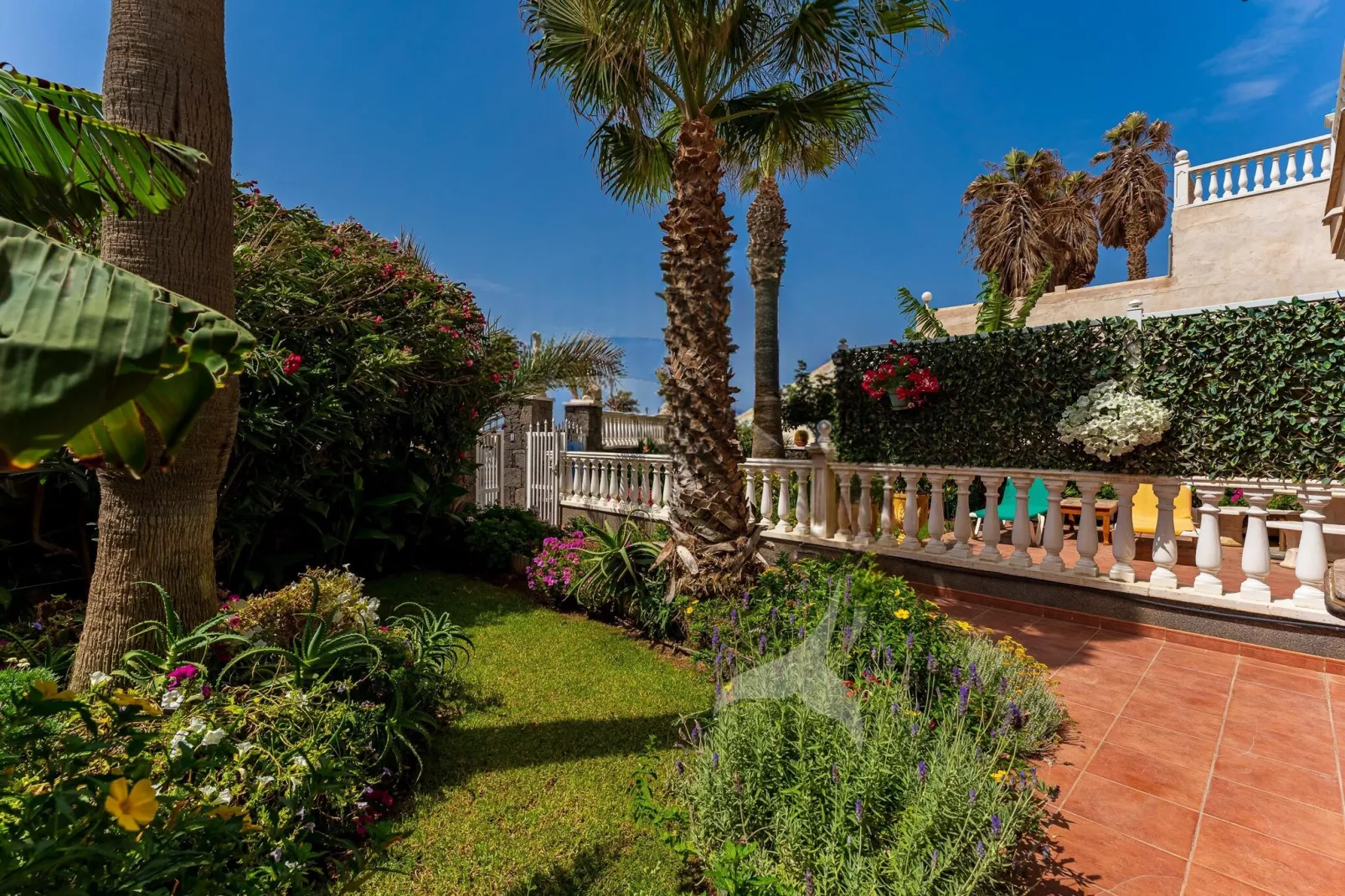 Delfin 101B 1d-Garten Sommer