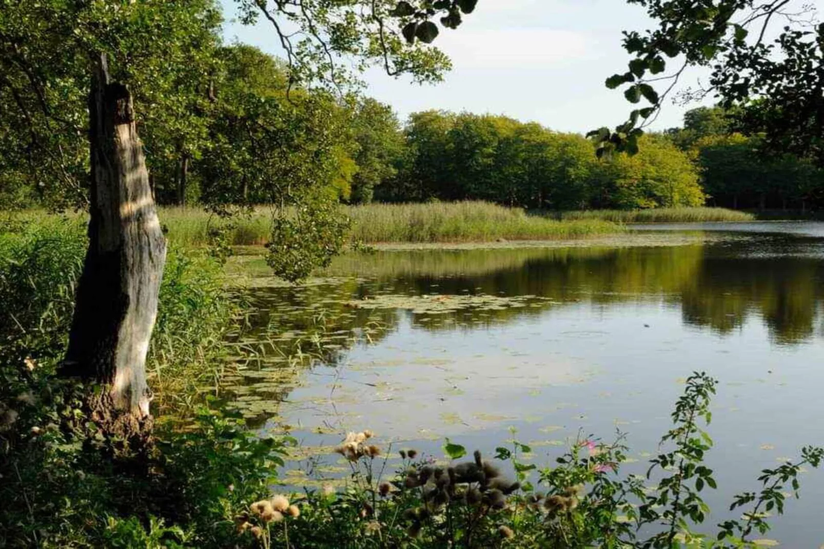 5 Sterne Ferienhaus in Frederiksværk-Nicht zugeordnet