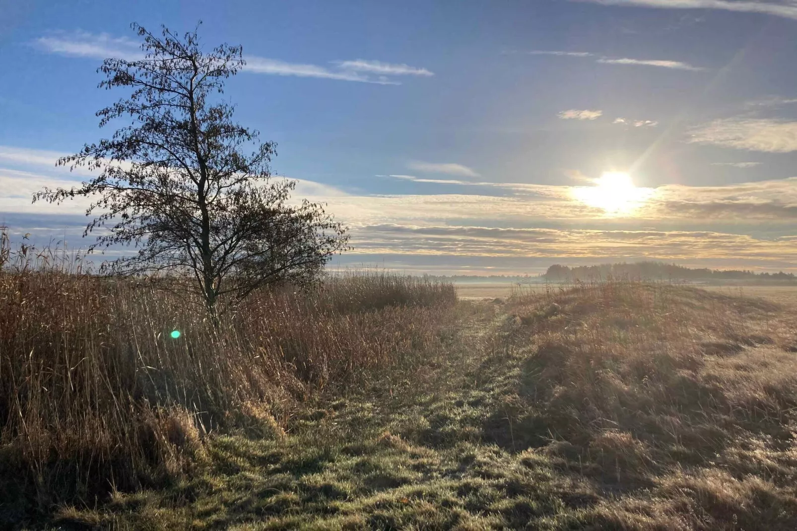 5 Sterne Ferienhaus in Rødby-Im Freien