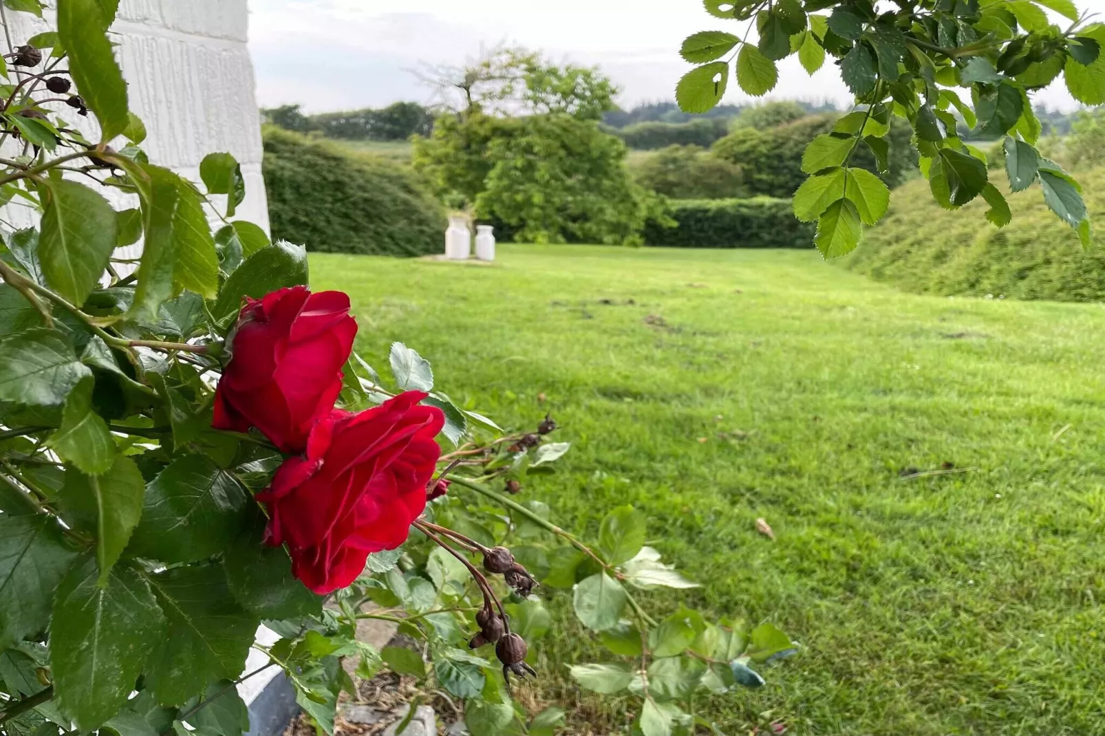 5 star holiday home in Farsø-Outdoor