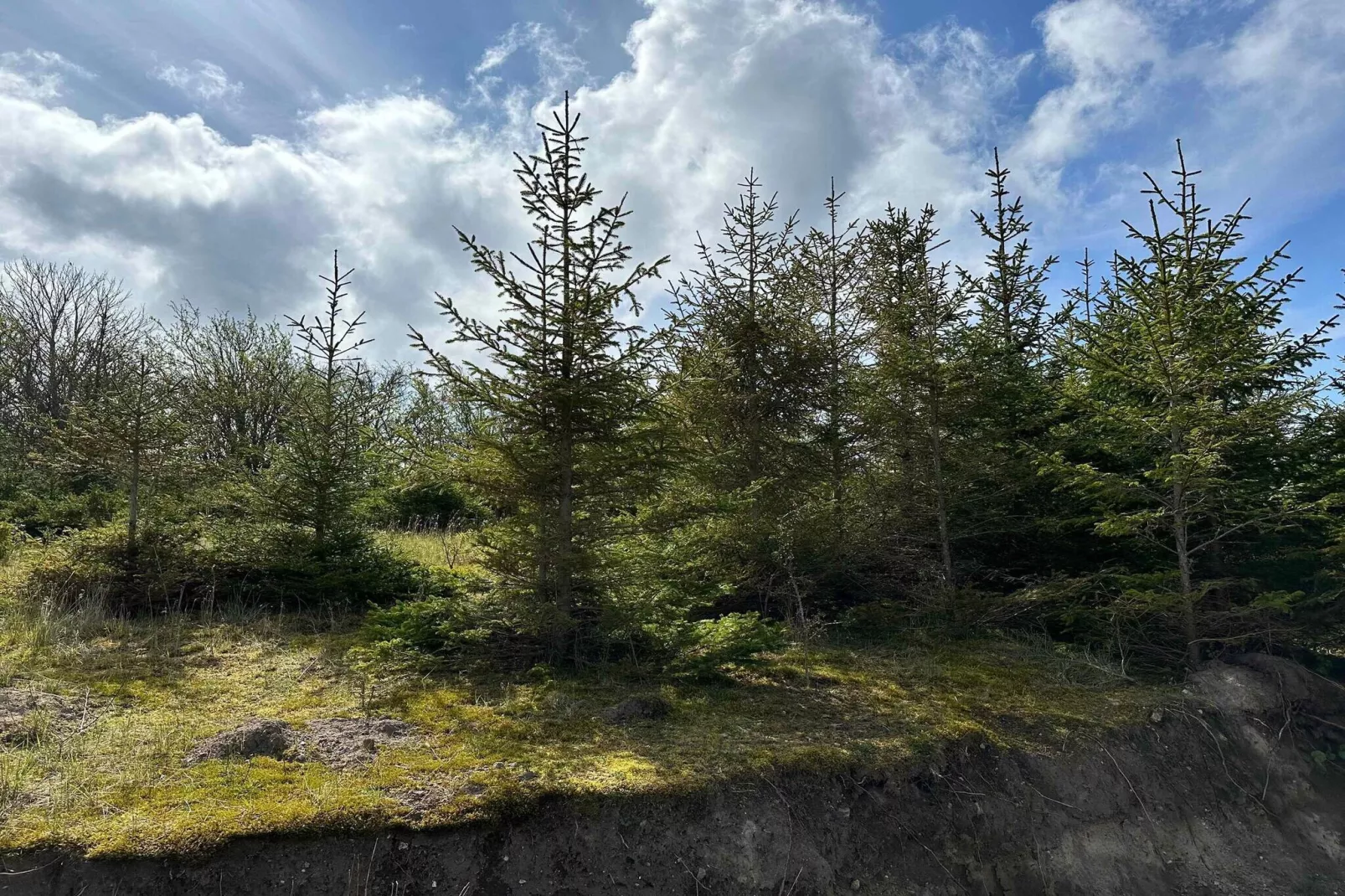 5 Sterne Ferienhaus in Sejerø-Aussicht