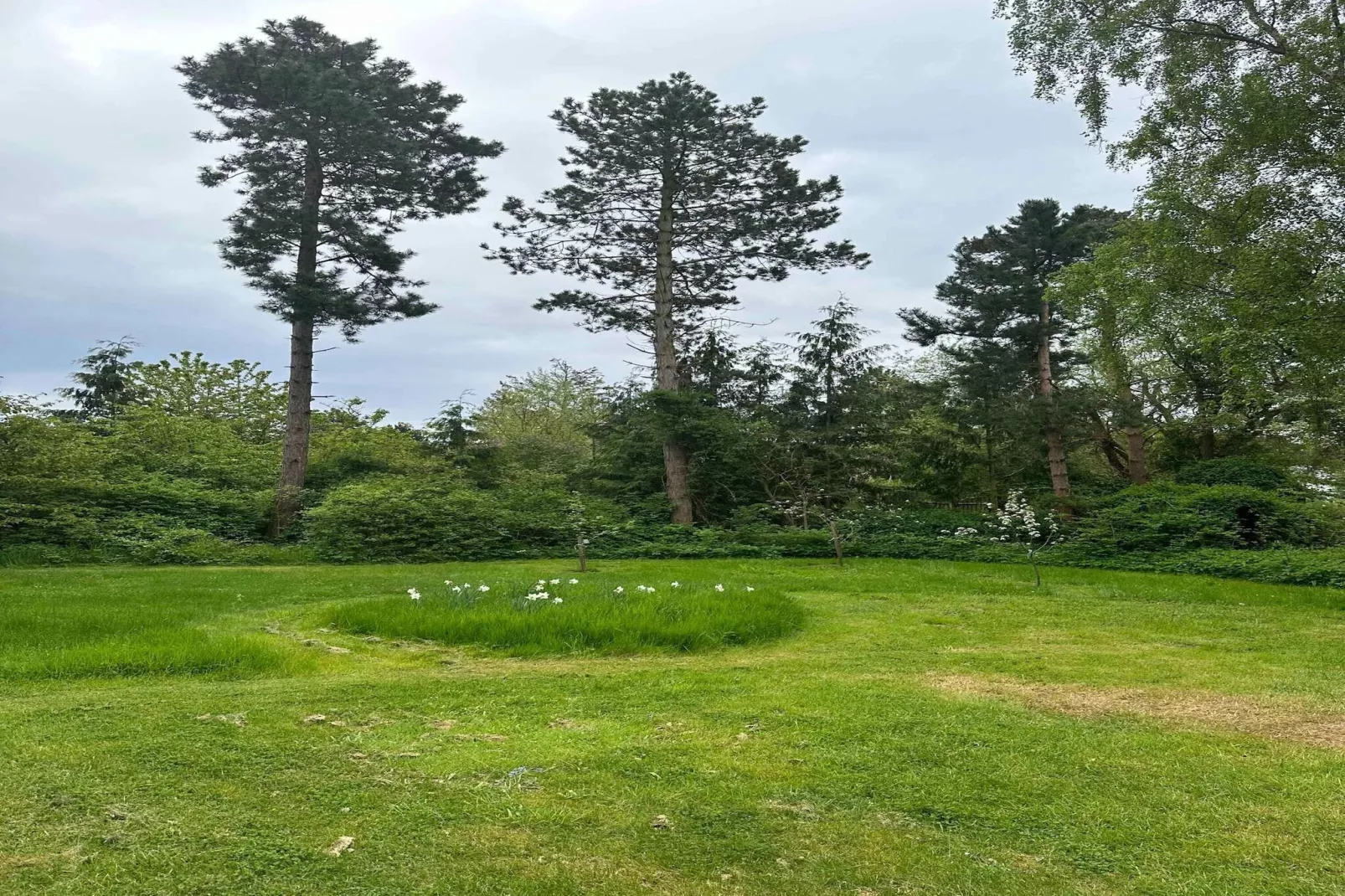 5 star holiday home in Knebel-Untagged