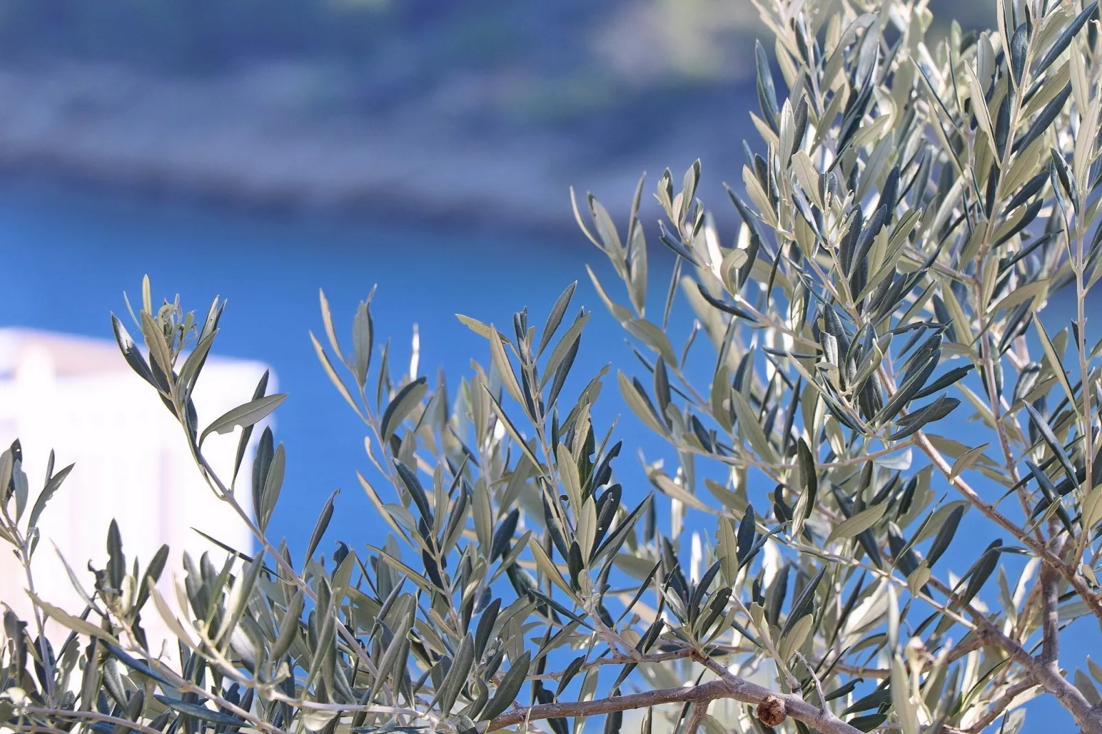 Peaceful Holiday House Senija - Four bedroom Holiday Home with Terrace and Sea View-Ambiance