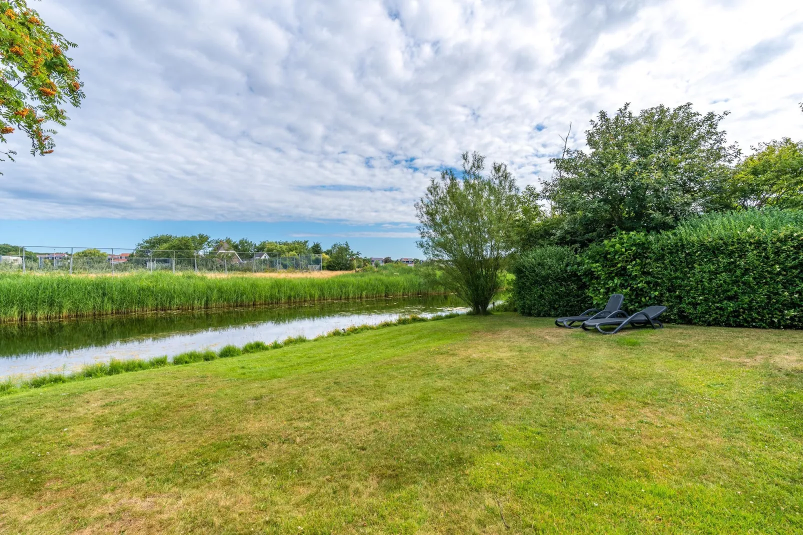 Kamperfoelie 51-Gardens in summer