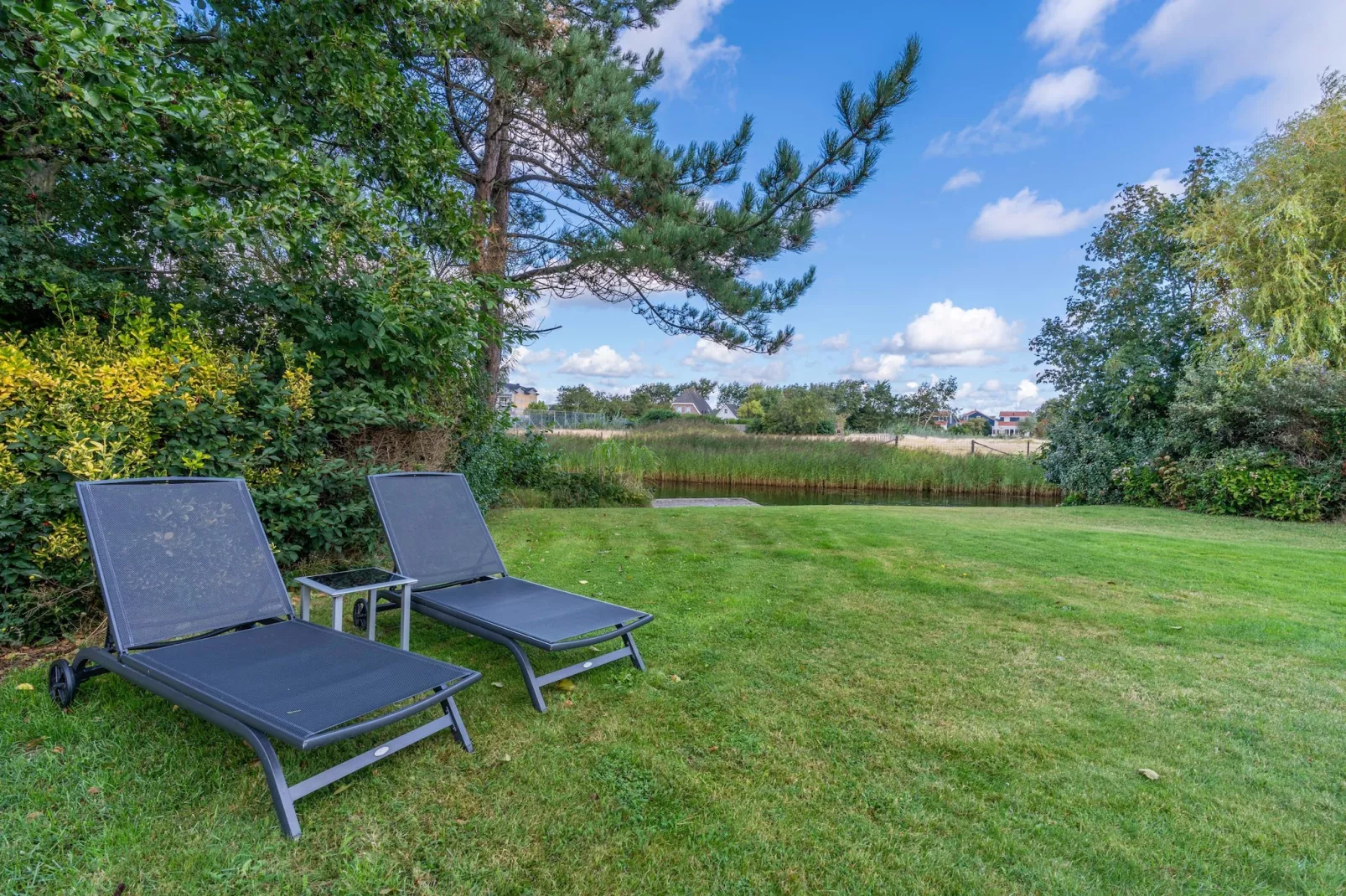 Kamperfoelie 63-Jardins en été