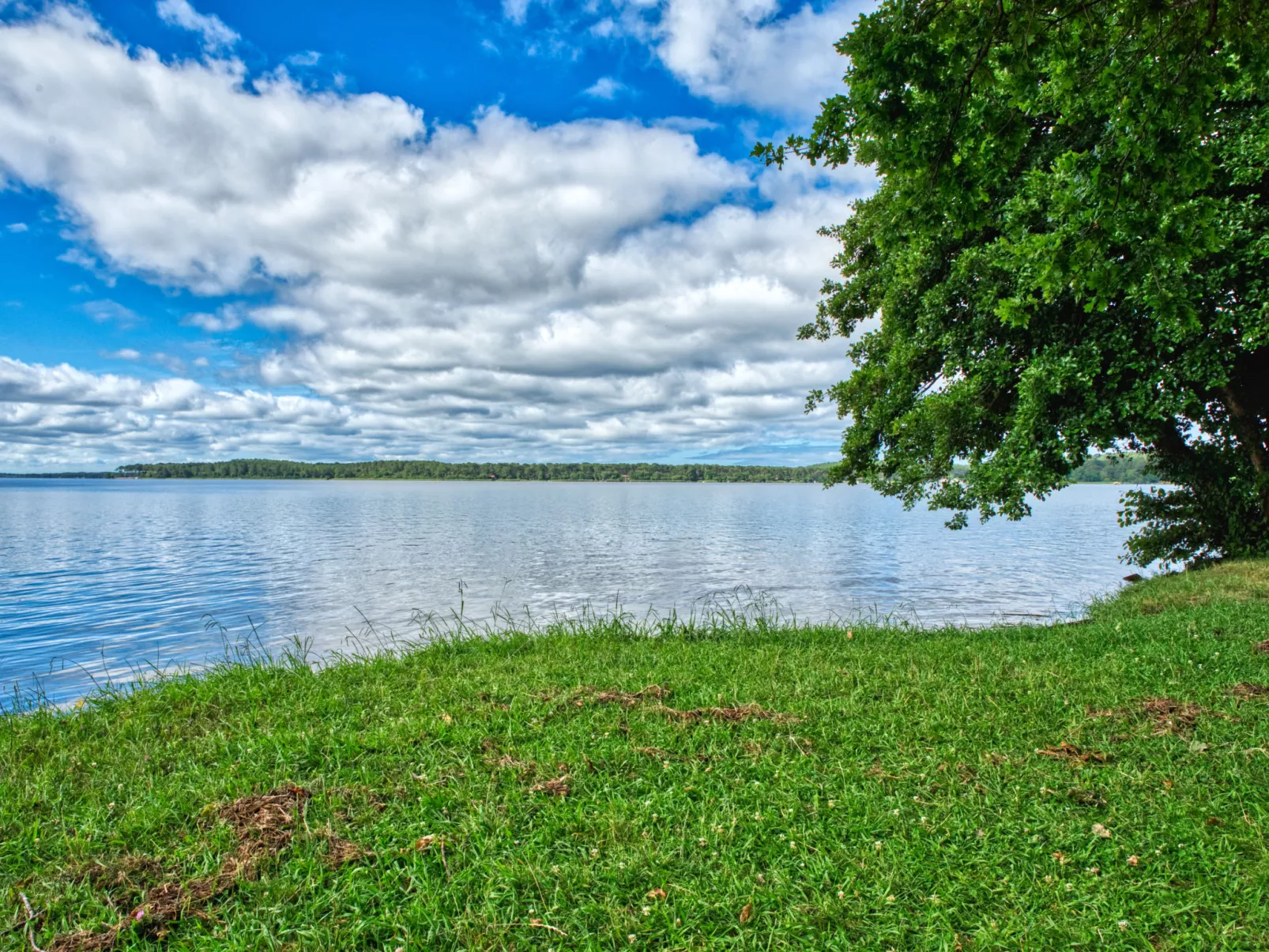 Marina de Talaris-Area