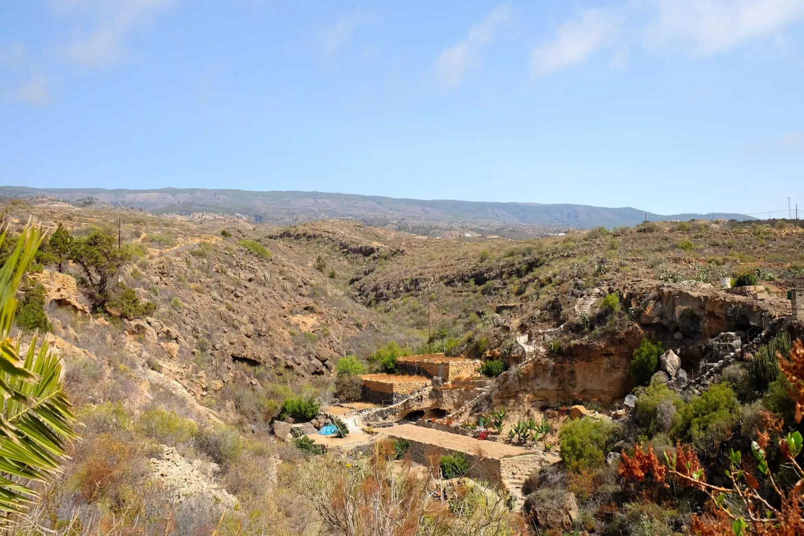 Finca Buenos Aires-View in summer
