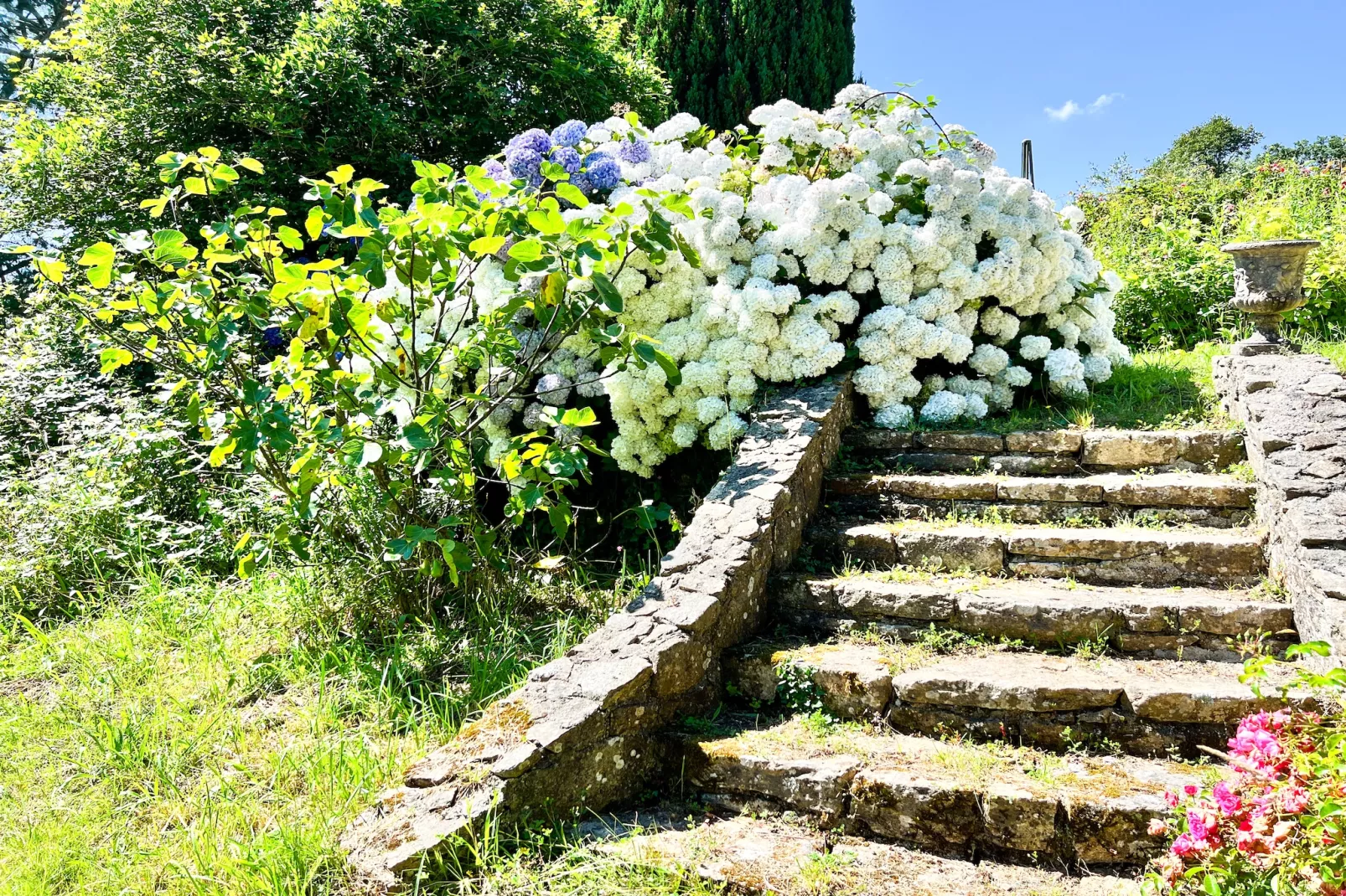 Doppelhaushälfte in Milizac-Gardens in summer