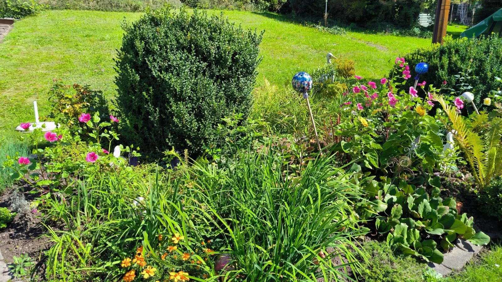 Am Springelbach-Jardins en été