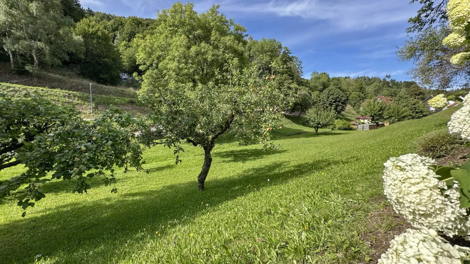 Gläserberg-Jardins en été