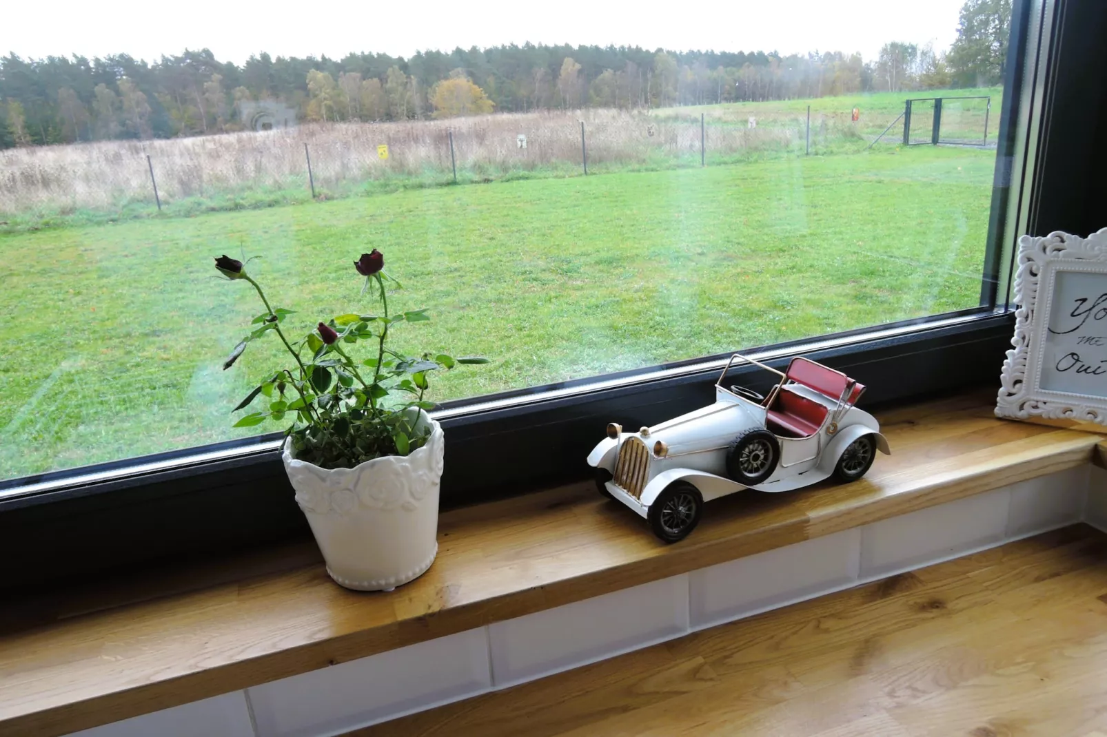 Green Hill Domysłów-Vue d'été