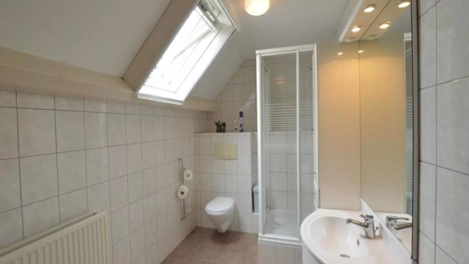 De Open Schuur-Badezimmer