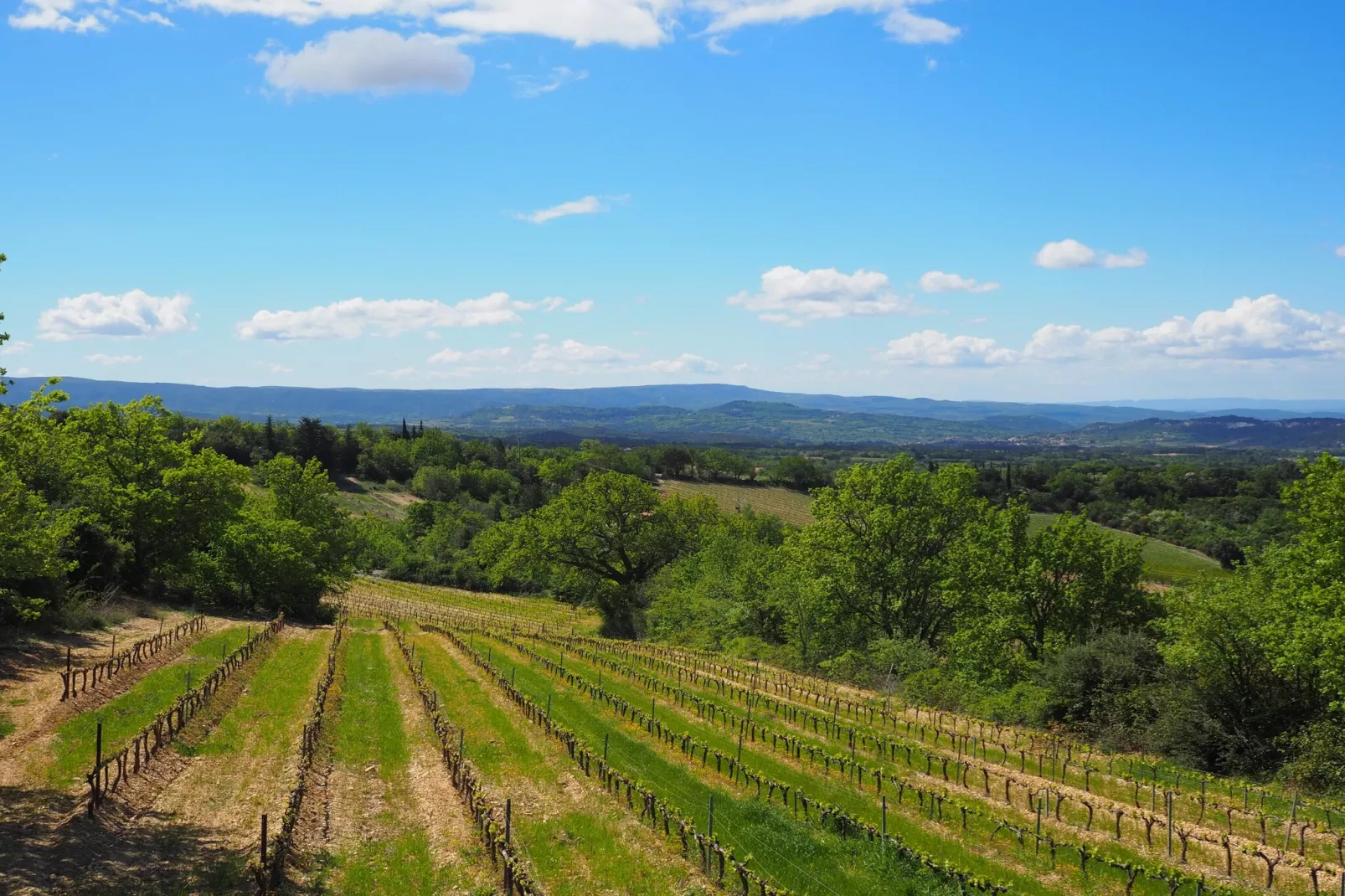 Doppelhaushälfte in Bédoin-View in summer
