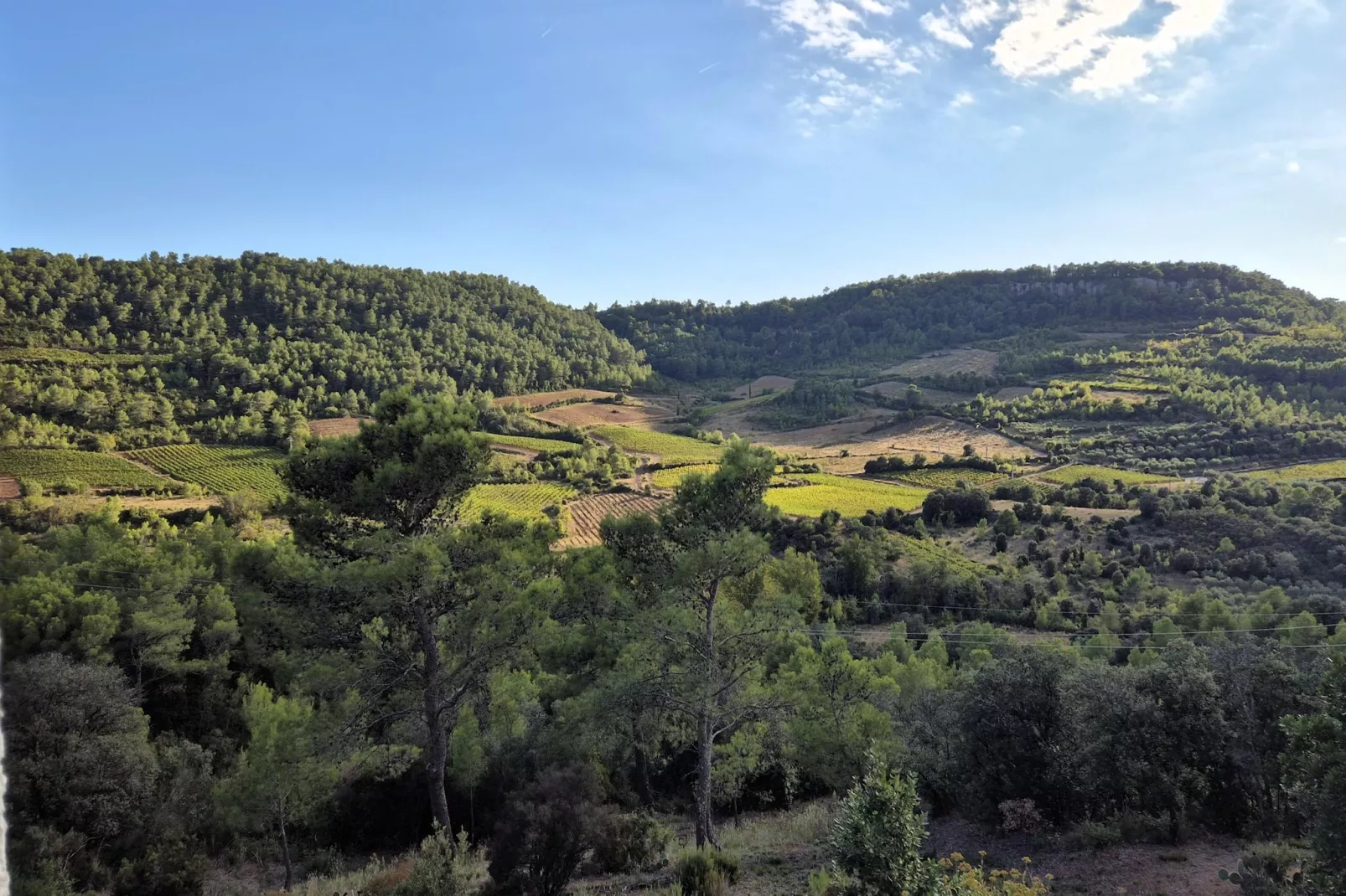 La Garrigue-Zones été à 1 km
