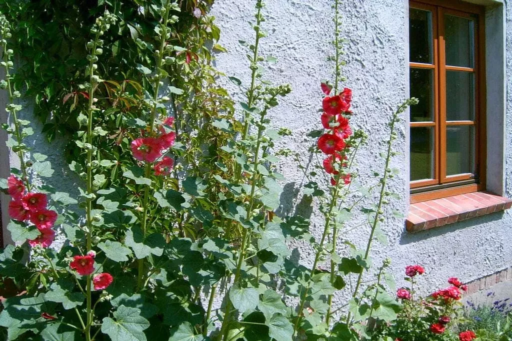 17823-Nicht zugeordnet