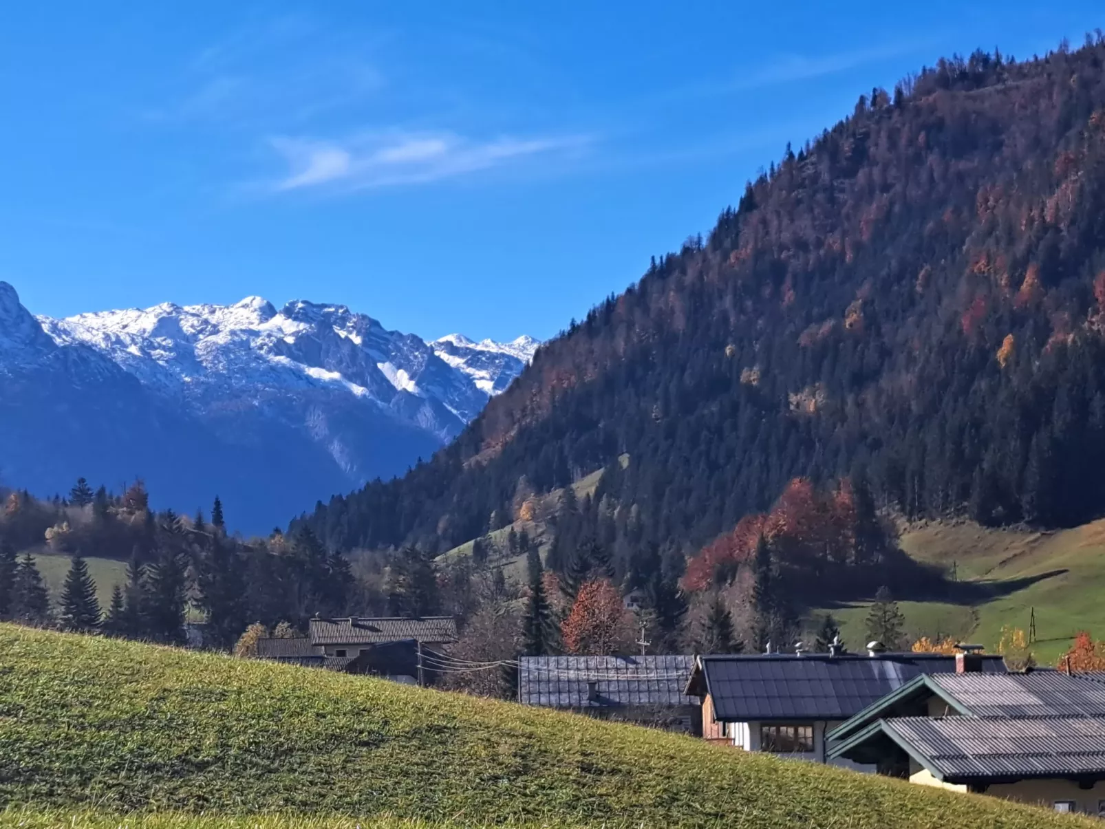 Appartement 1-Draußen