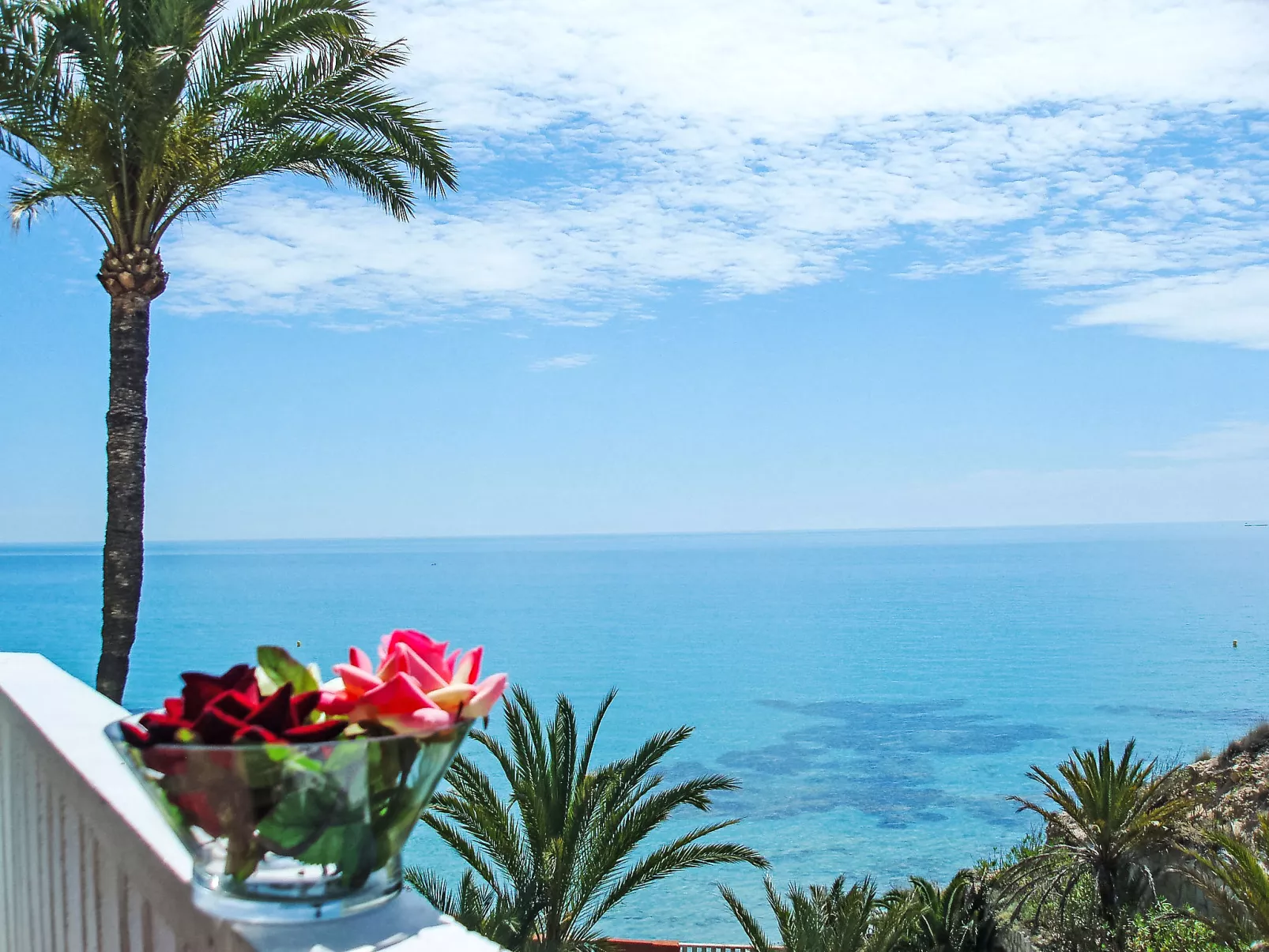 Parque Amerador-Dehors