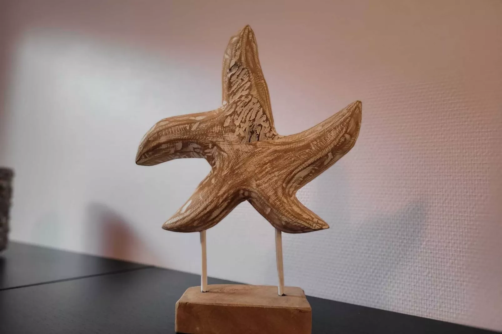 NOORDSTE 0001-Ambiente