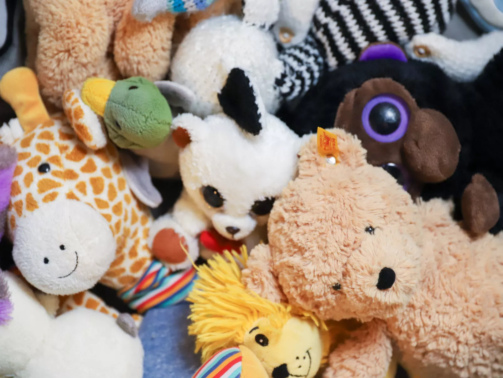 La Siala Apt.34-Drinnen