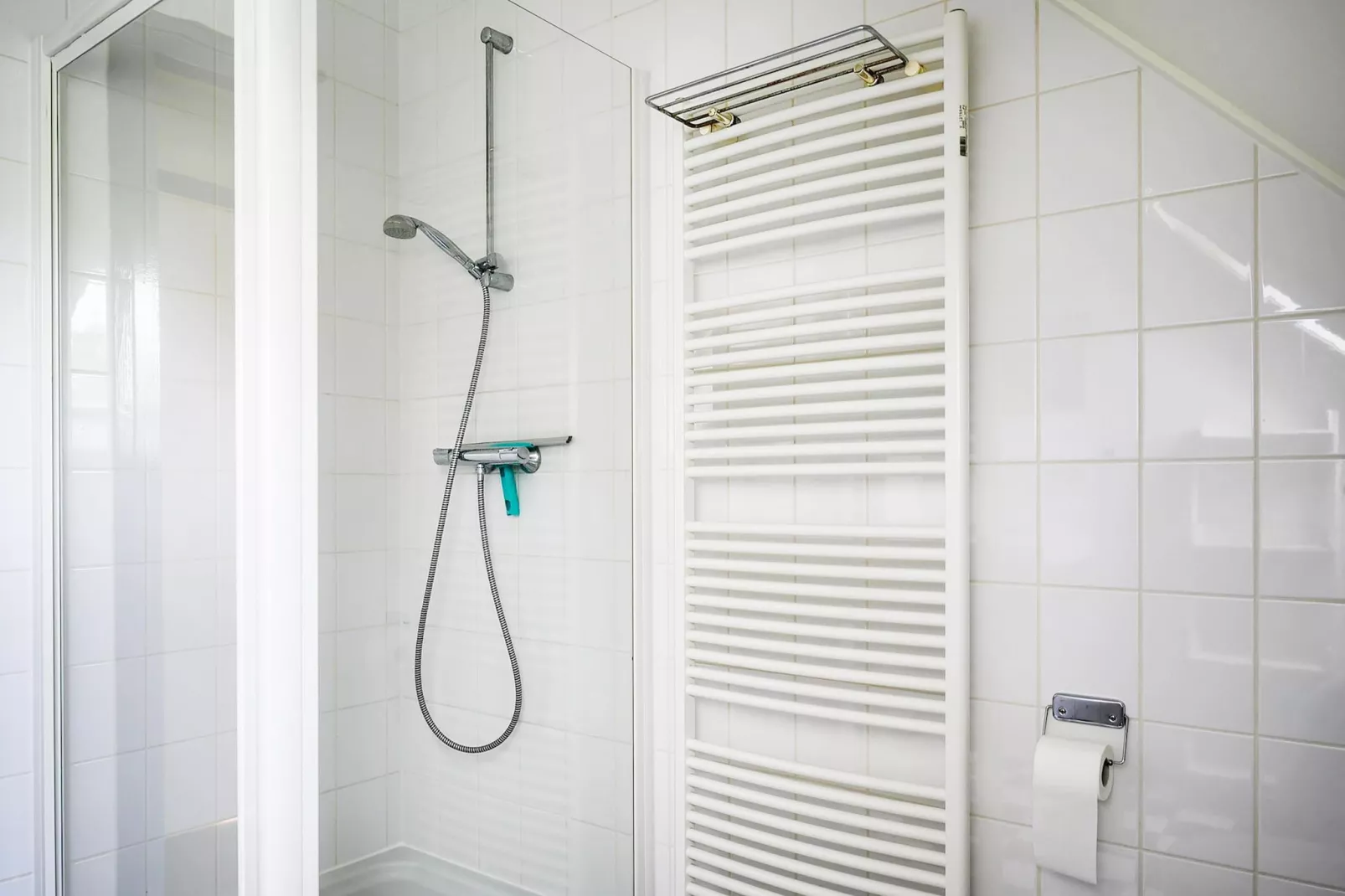 6 pers. Vosseberghuis Prestige met buitenspa-Bathroom