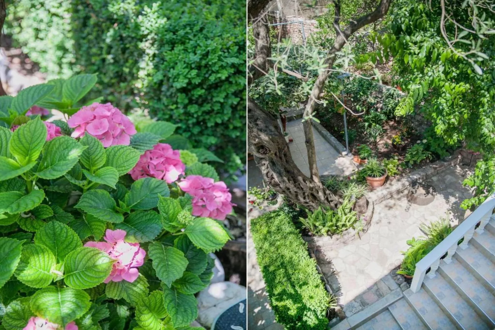 Petrovac Serenity Stay Near the Beach - Standard Double Room 2-Garten Sommer