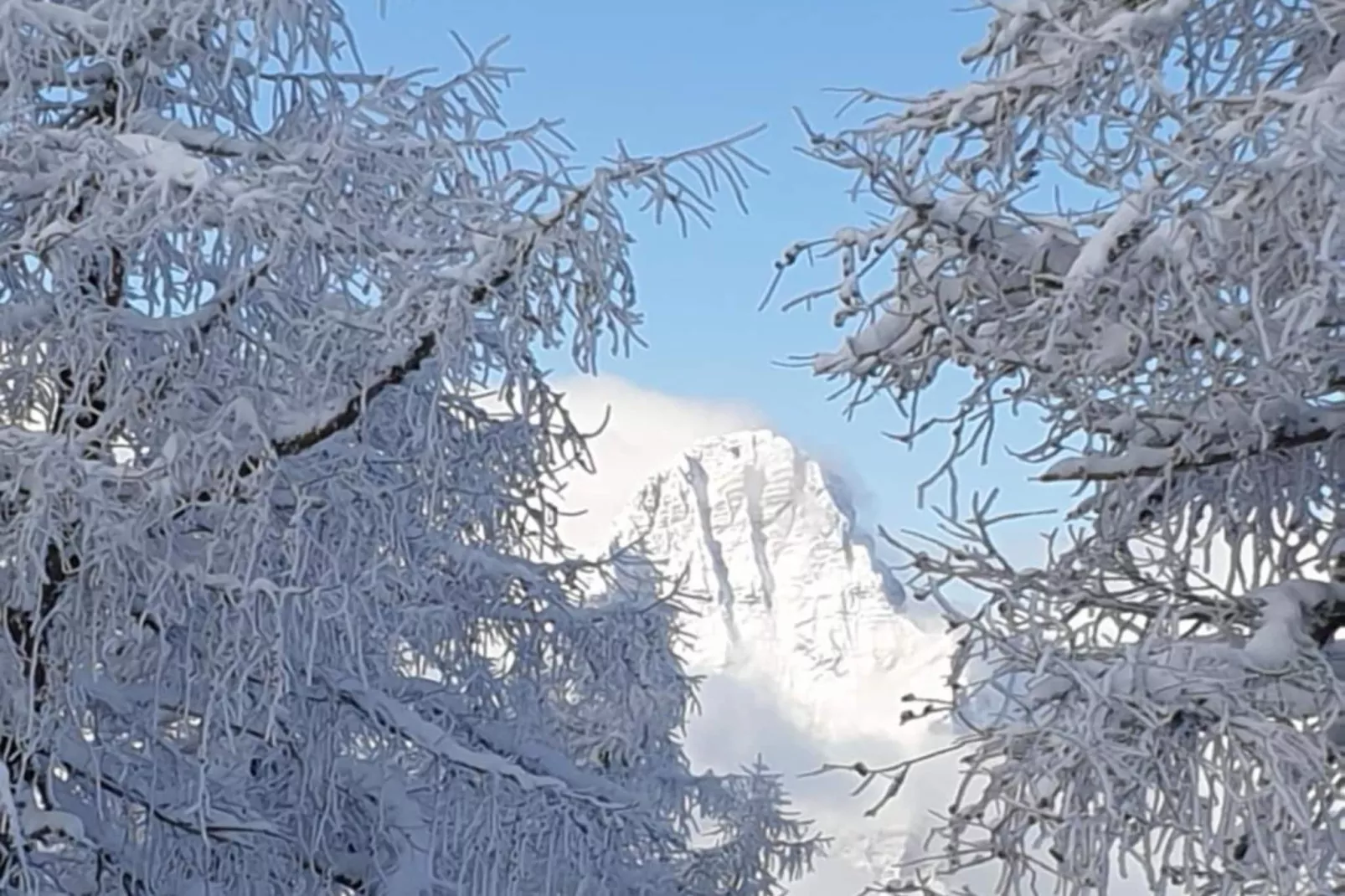 Apartment HAL  - one bedroom apartment-Outdoor