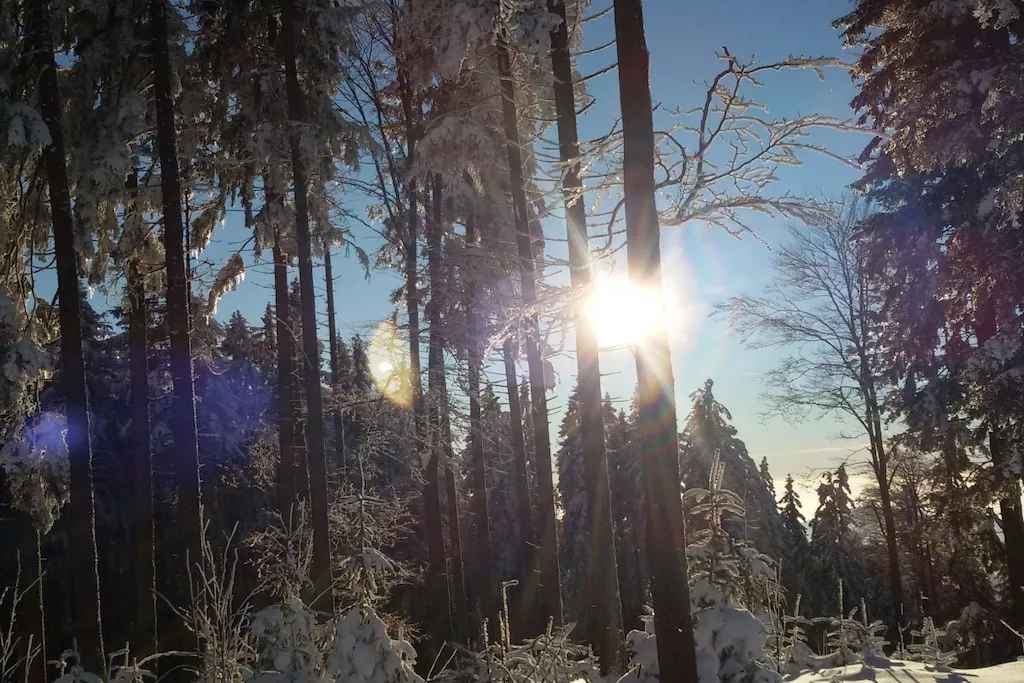 163154-Nicht zugeordnet