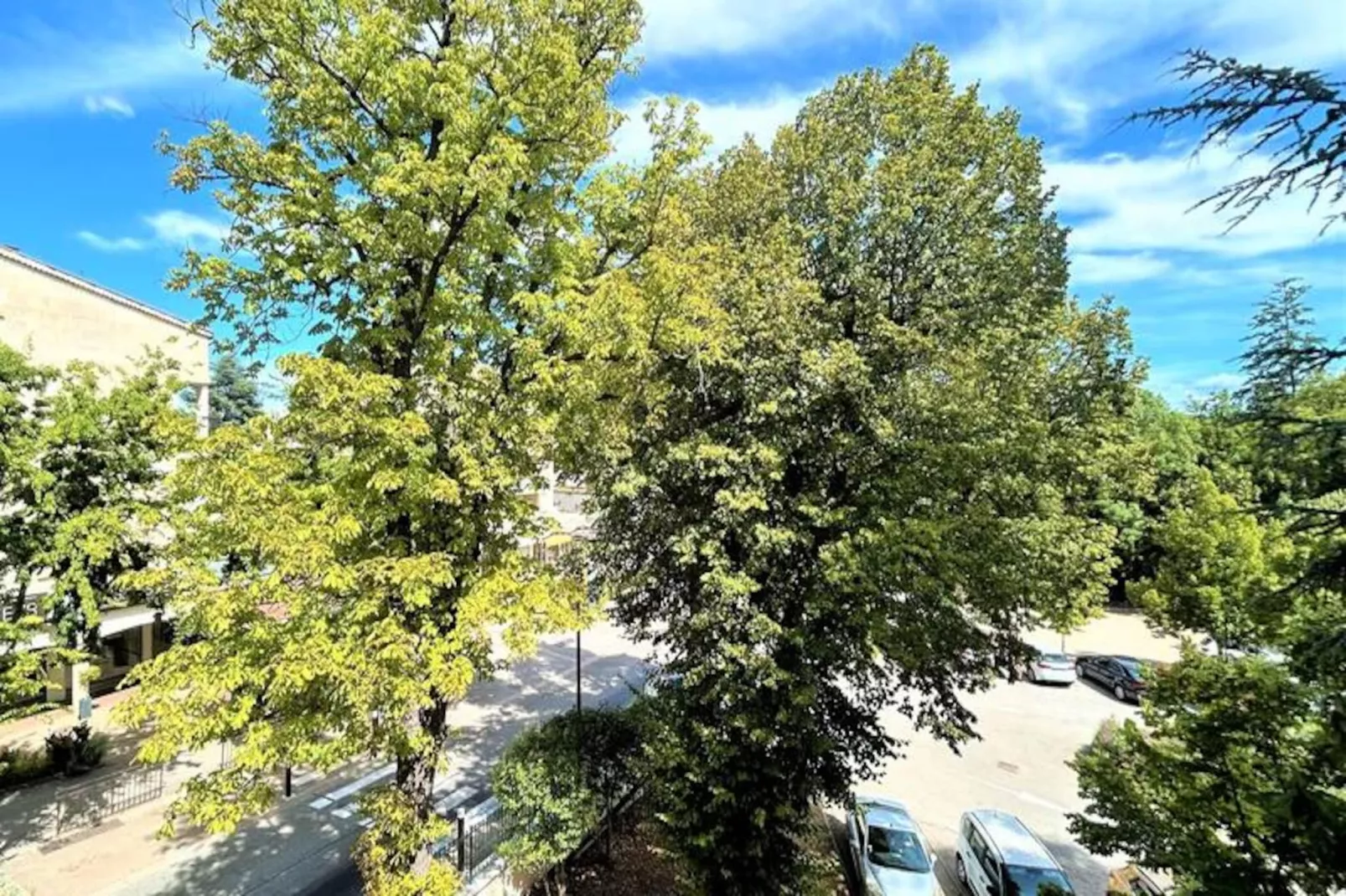 Résidence Flore-Nicht zugeordnet