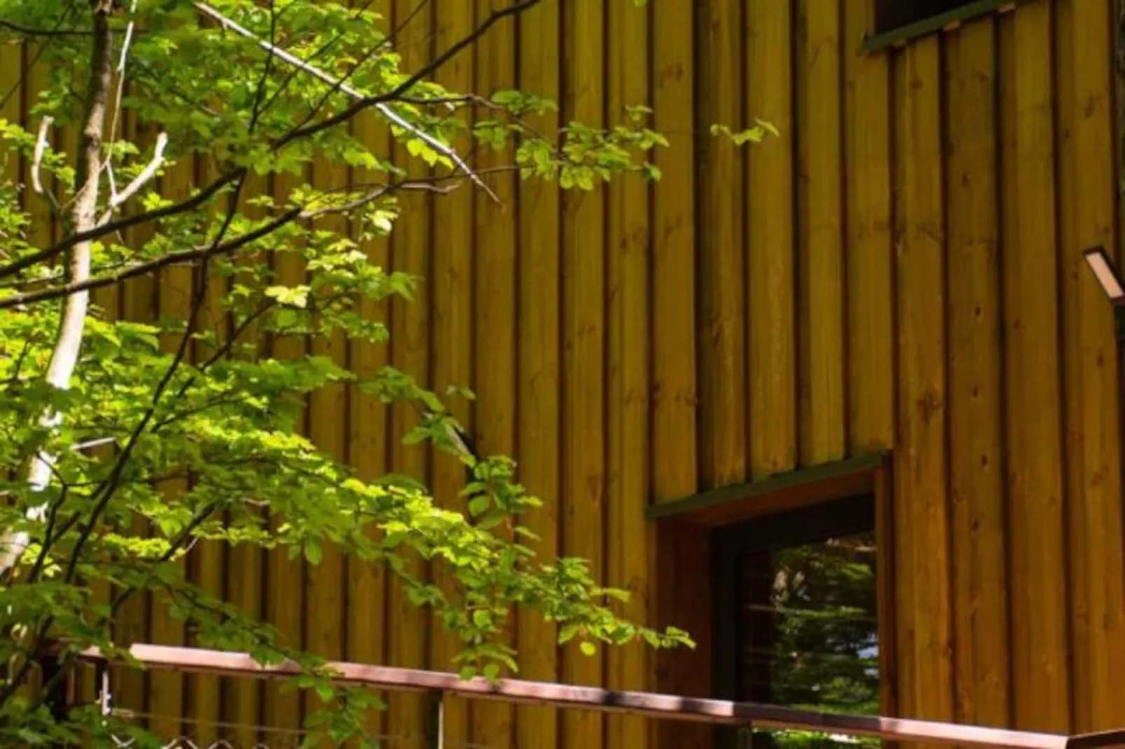 Gîte Cabane insolite dans les cévennes – les sous-bois 3 étoiles-Untagged