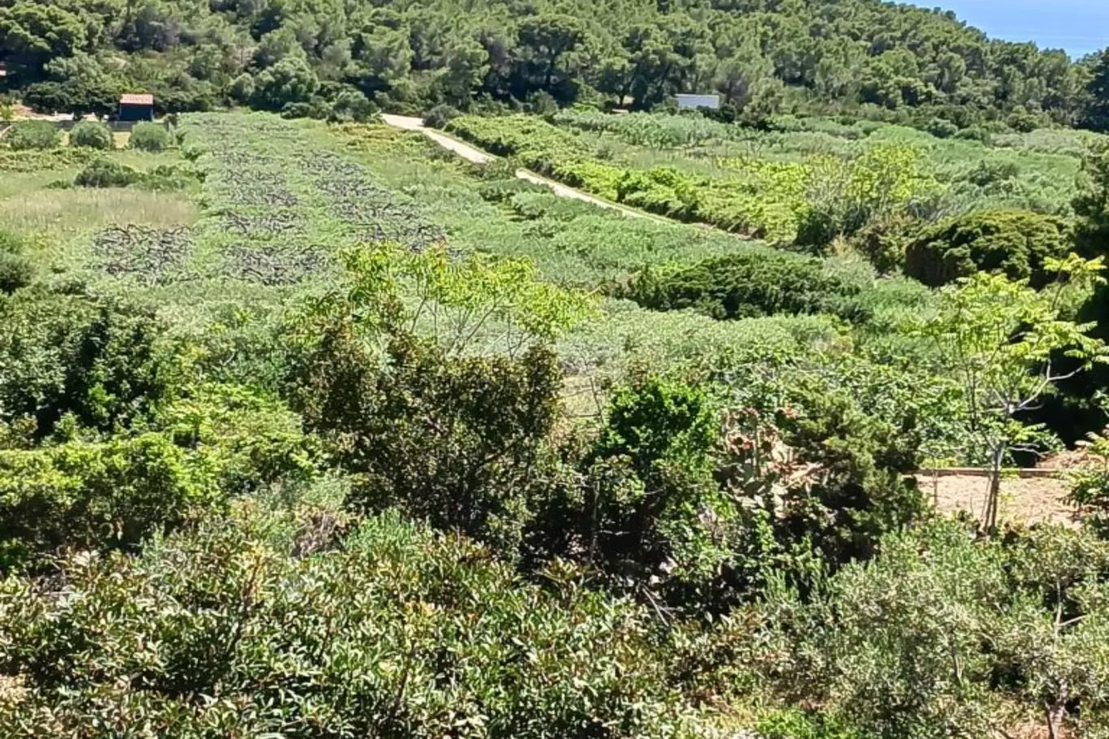 Apartmani Green Oasis - One Bedroom Apartment with Terrace and Sea View-Outdoor