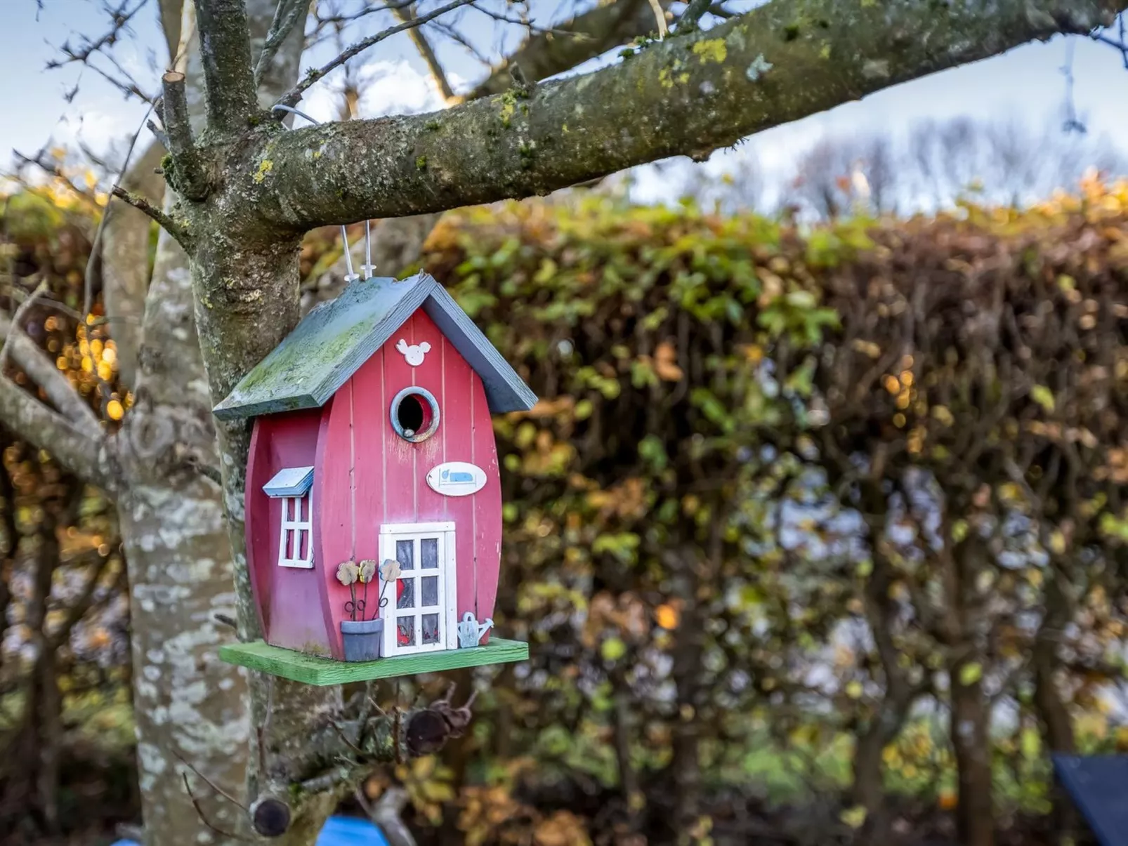 "Pavo" - 200m from the sea-Draußen