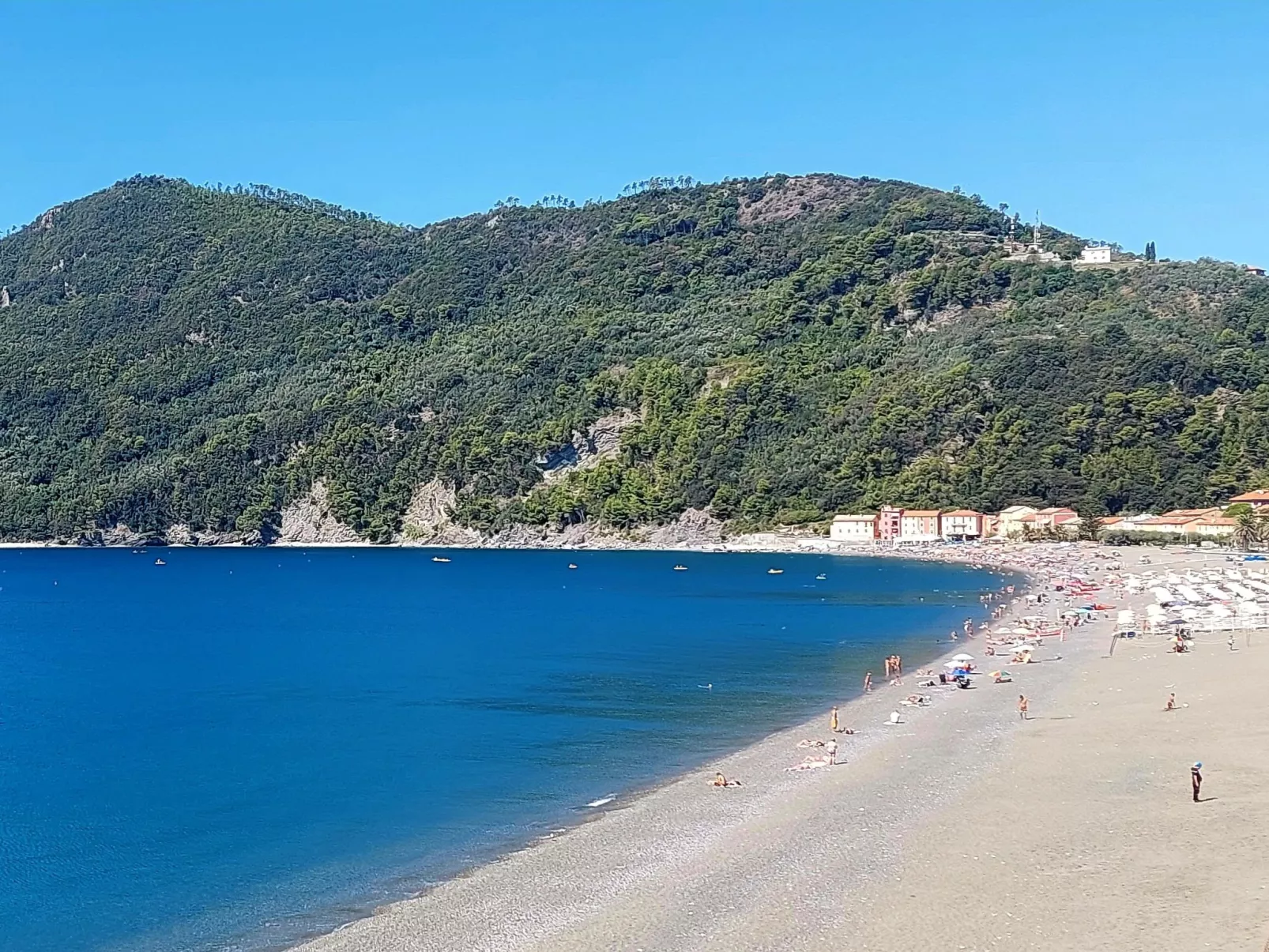 Brunetta-Area