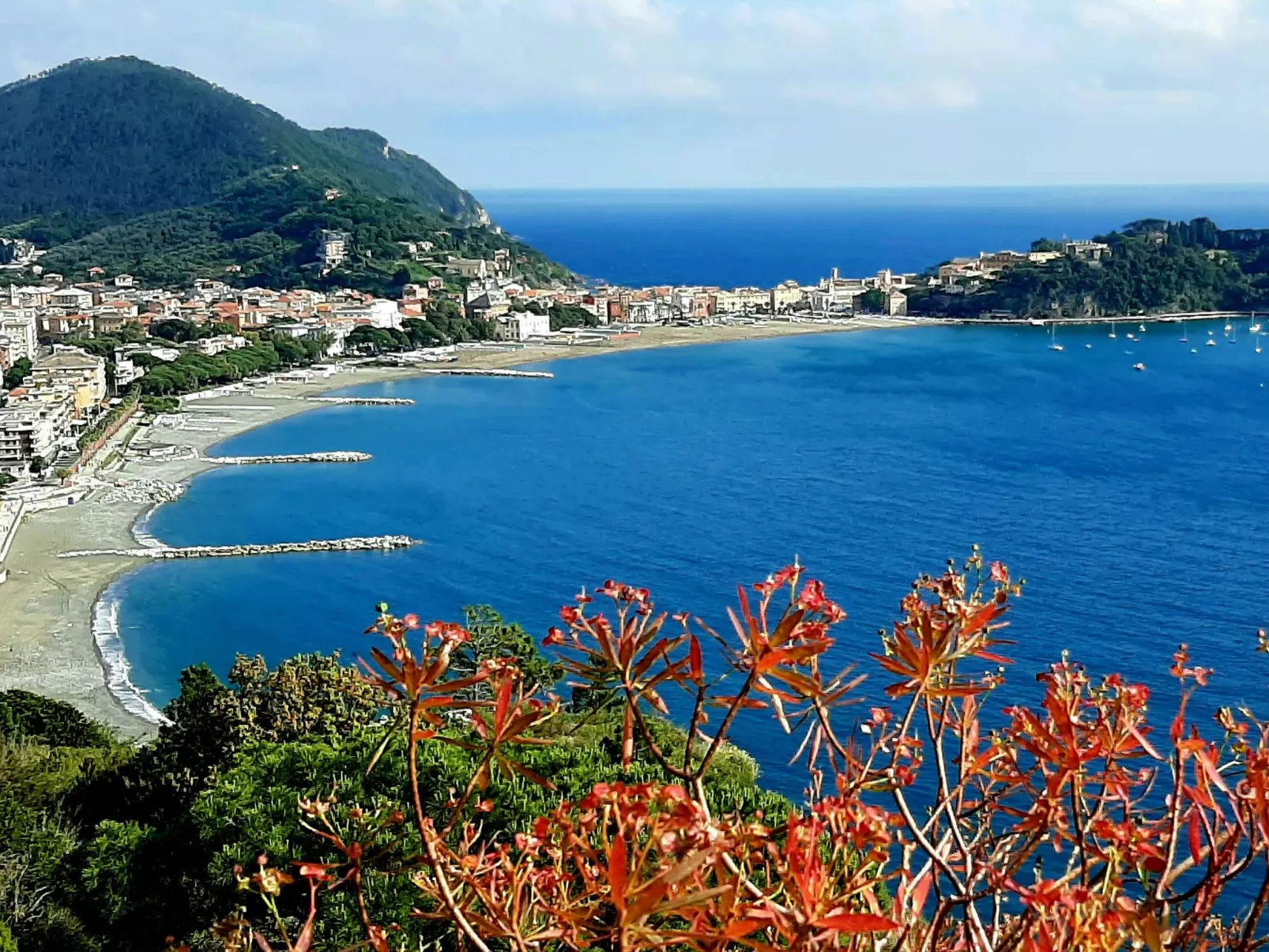 Brunetta-Area