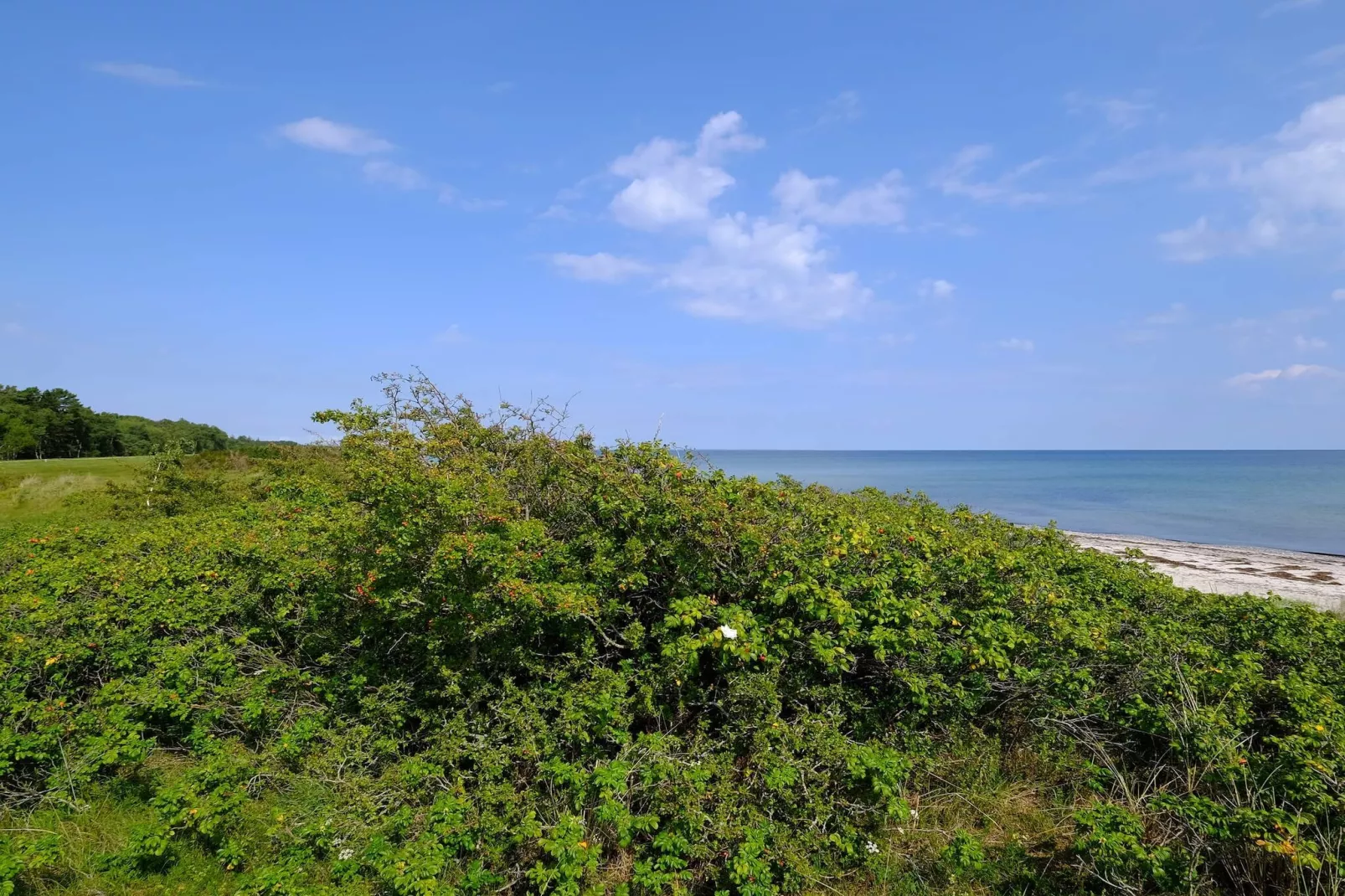 4 Personen Ferienhaus in Gedser-Wasserblick