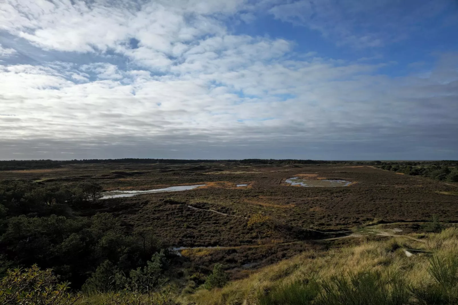 Tranquil Thatched Cottage on Romo-By Traum-Water view