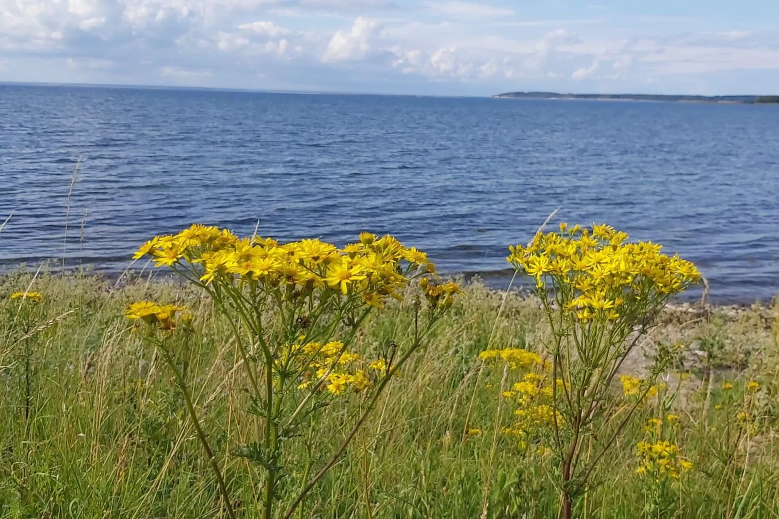 Scenic Golf Retreat-By Traum-Water view