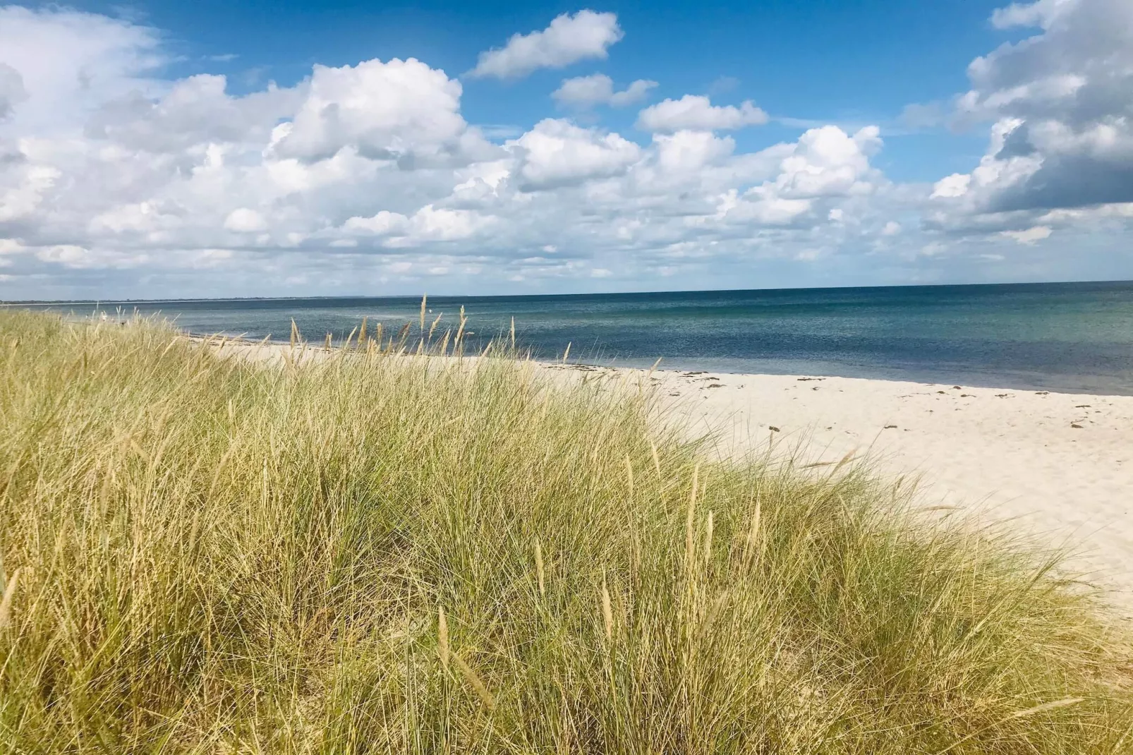 Seaside Serenity in Marielyst-Water view