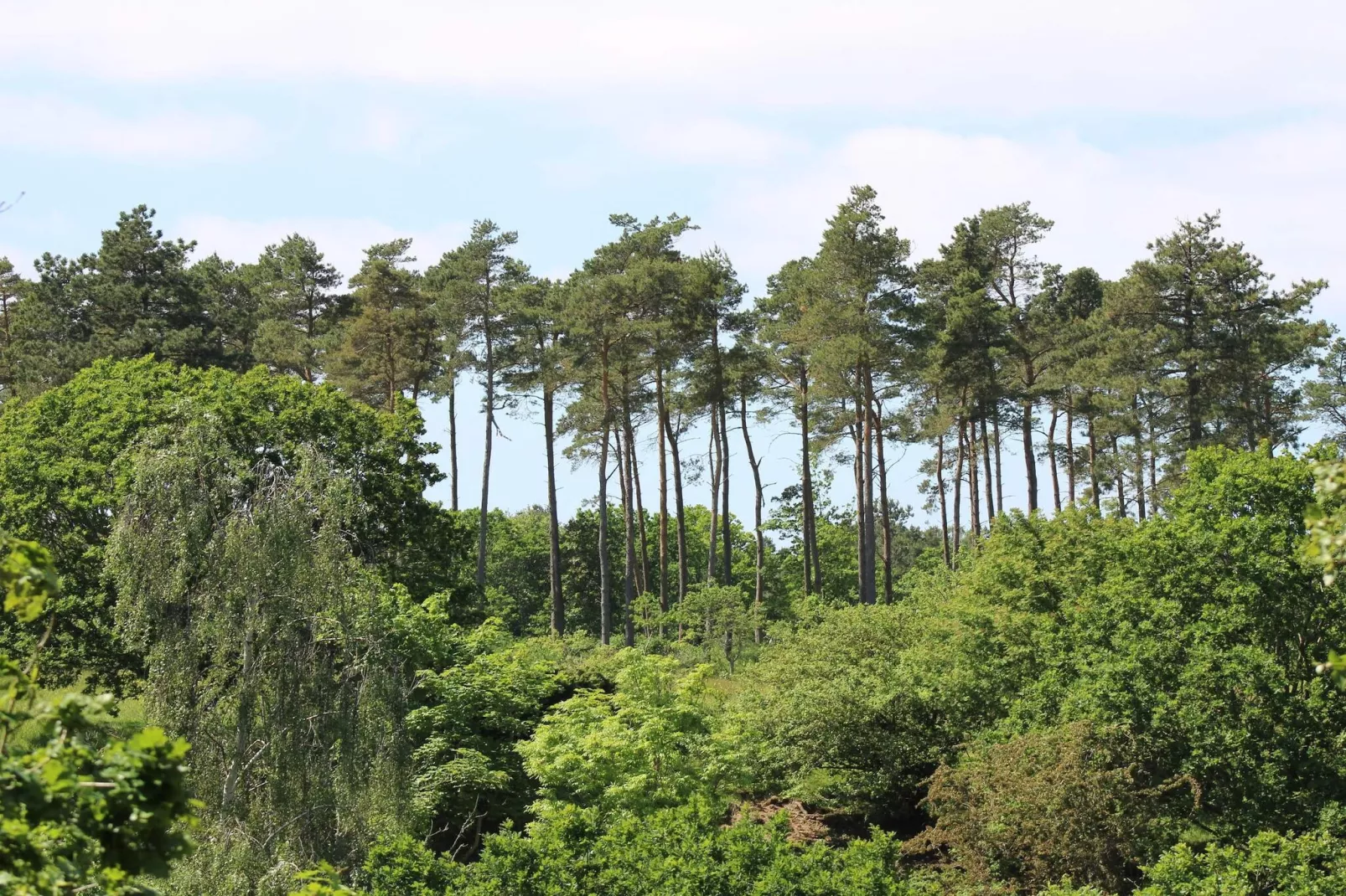 Maison de vacances pour 6 a Ebeltoft-Non tagué