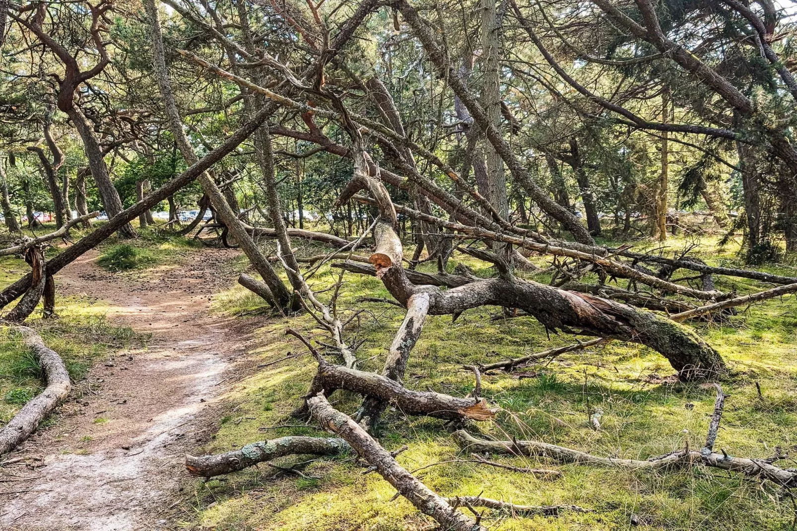 4 Personen Ferienhaus in Frederiksværk-Aussicht