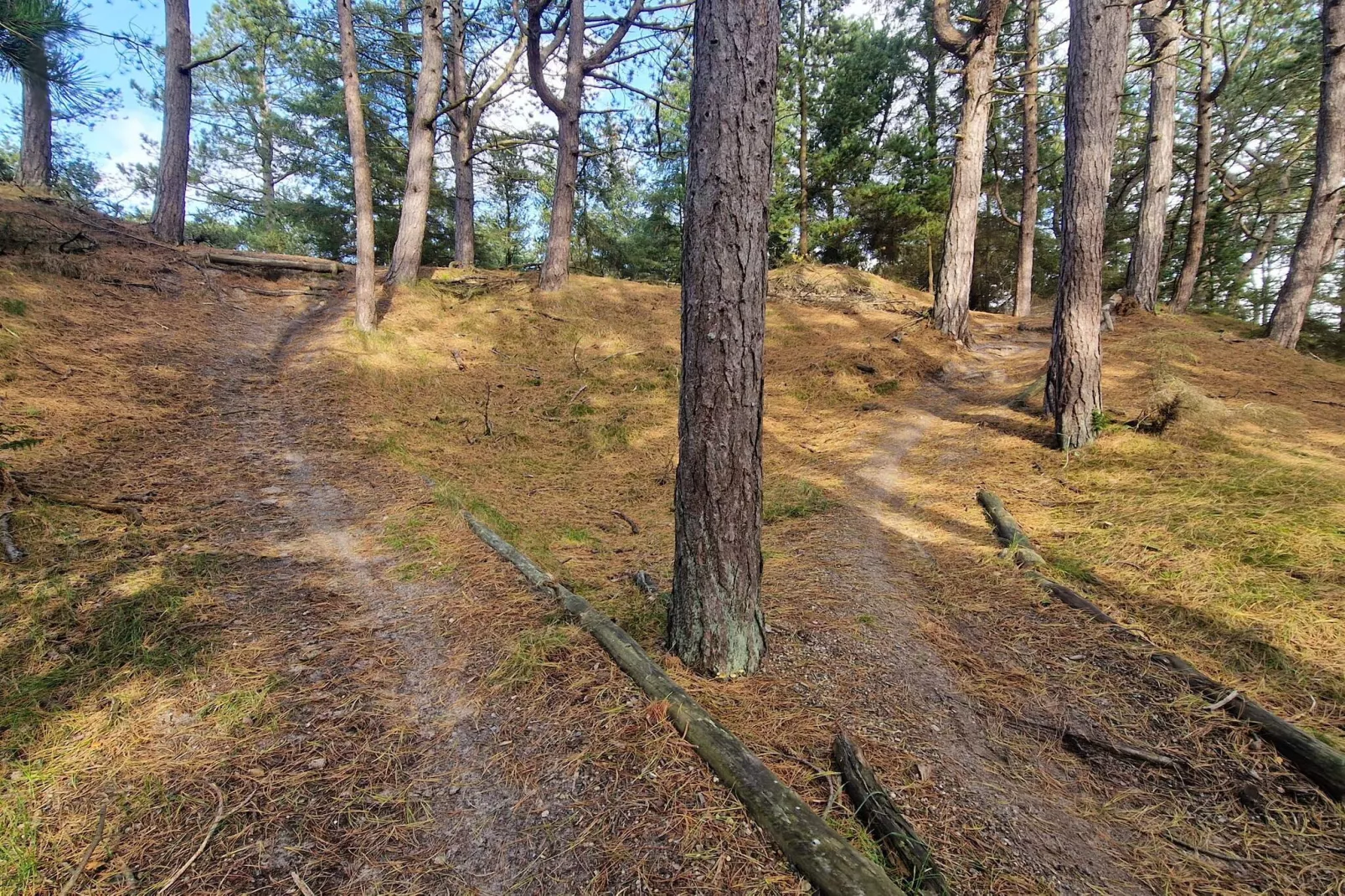 4 person holiday home in Oksbøl-Untagged