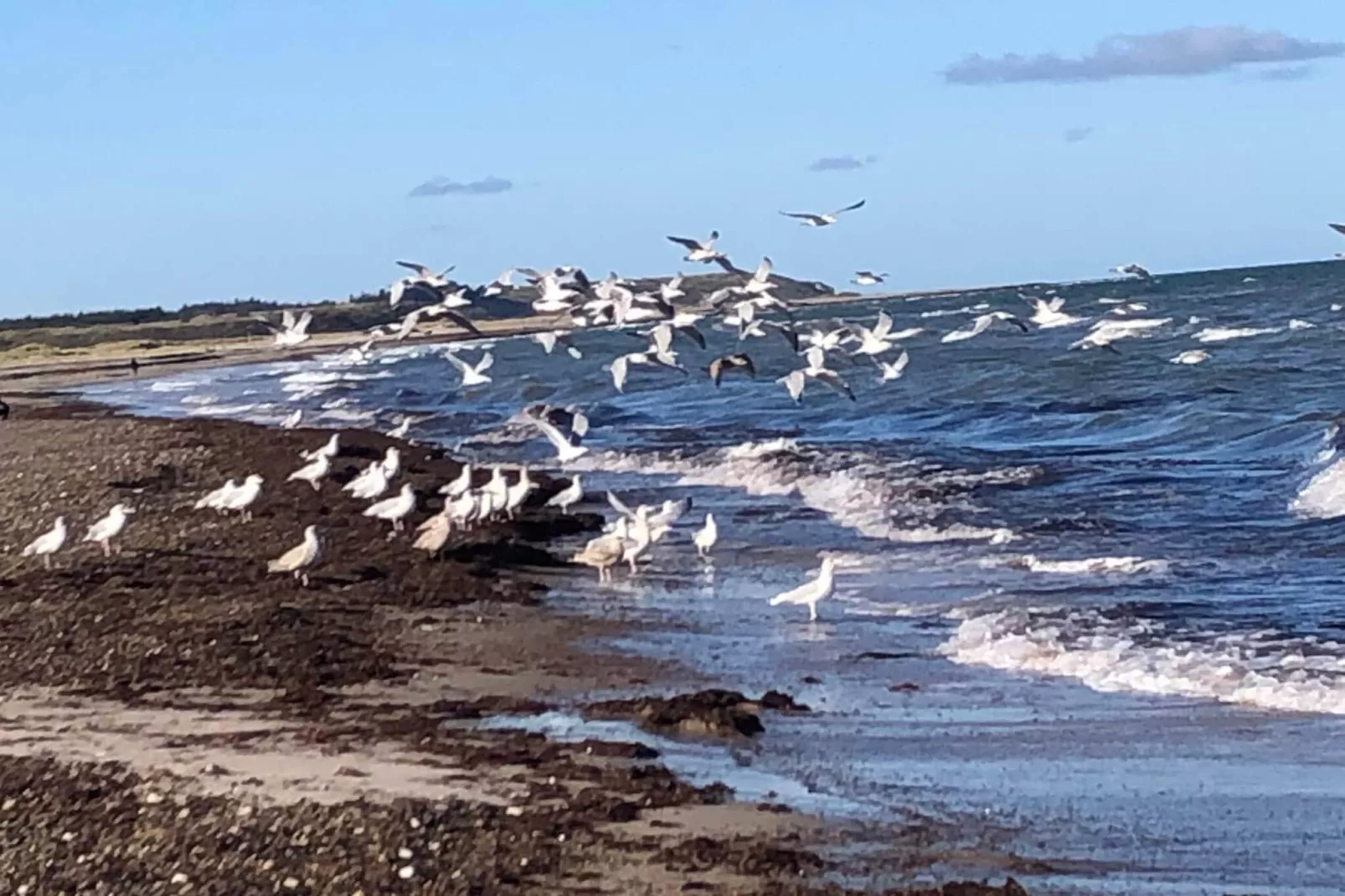 14 person holiday home in Løkken-Water view
