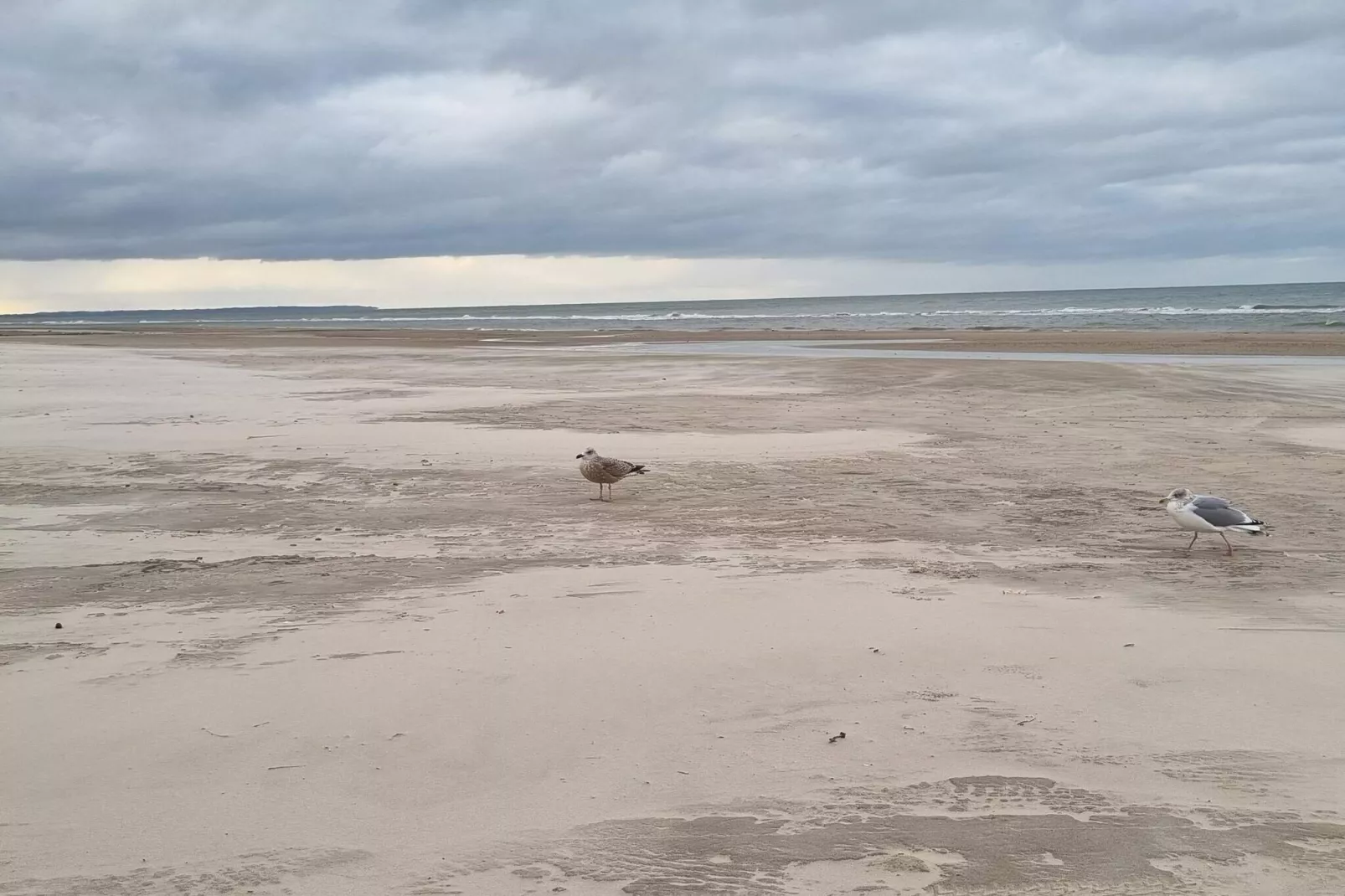 Luxury Spa Retreat by Sea - By Traum Ferienwohnungen-Water view