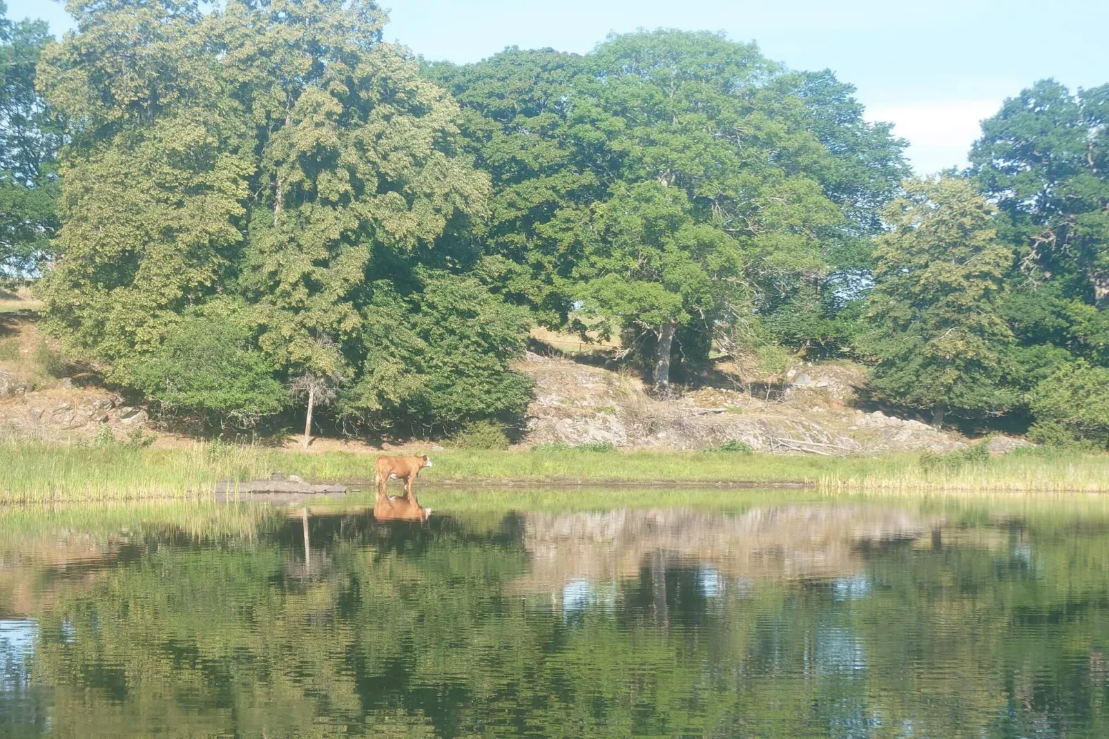 4 person holiday home in VETLANDA-By Traum-Water view