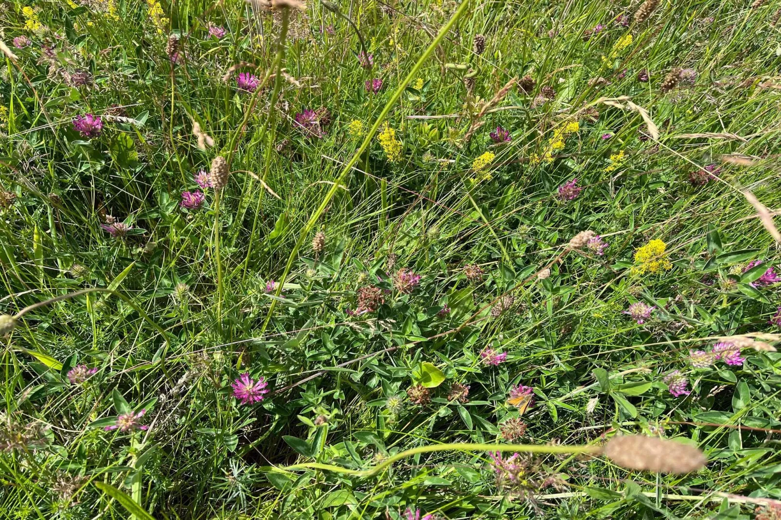 7 Personen Ferienhaus in Knebel-By Traum-Nicht zugeordnet