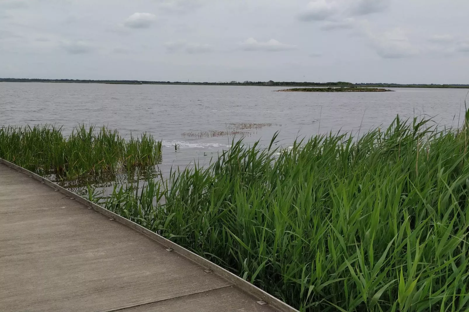 7 Personen Ferienhaus in Henne-By Traum-Wasserblick