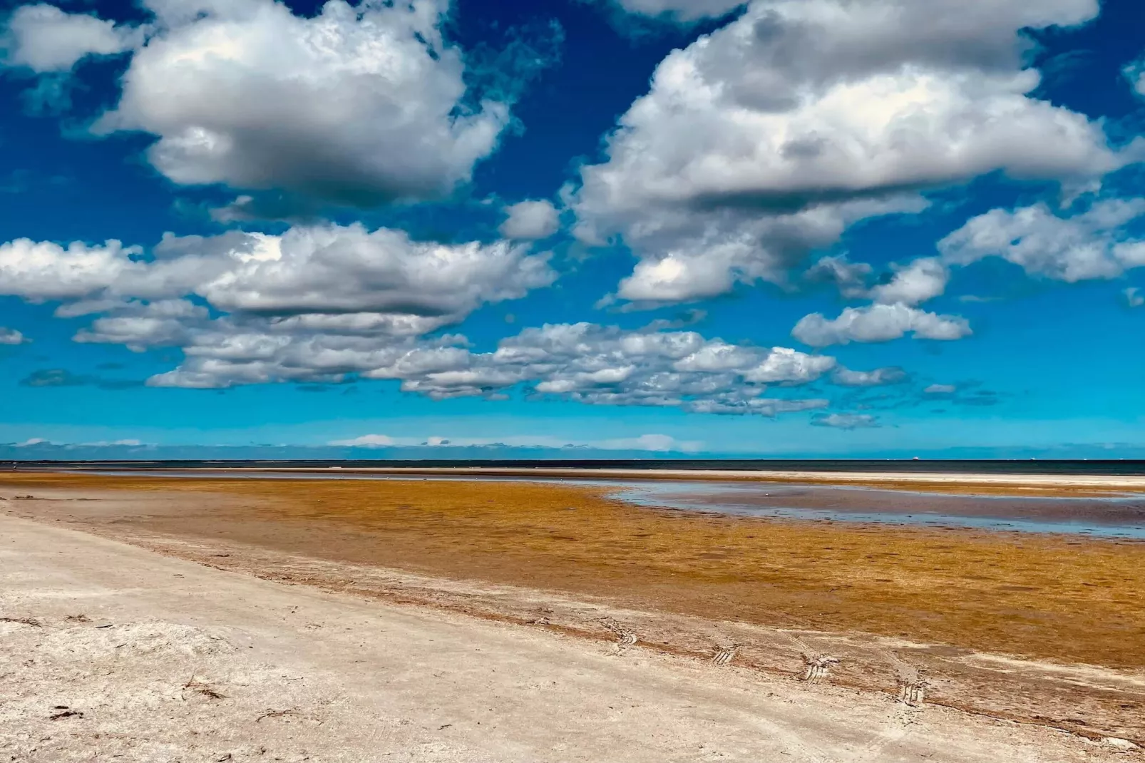 4 person holiday home in Jerup-By Traum-Water view